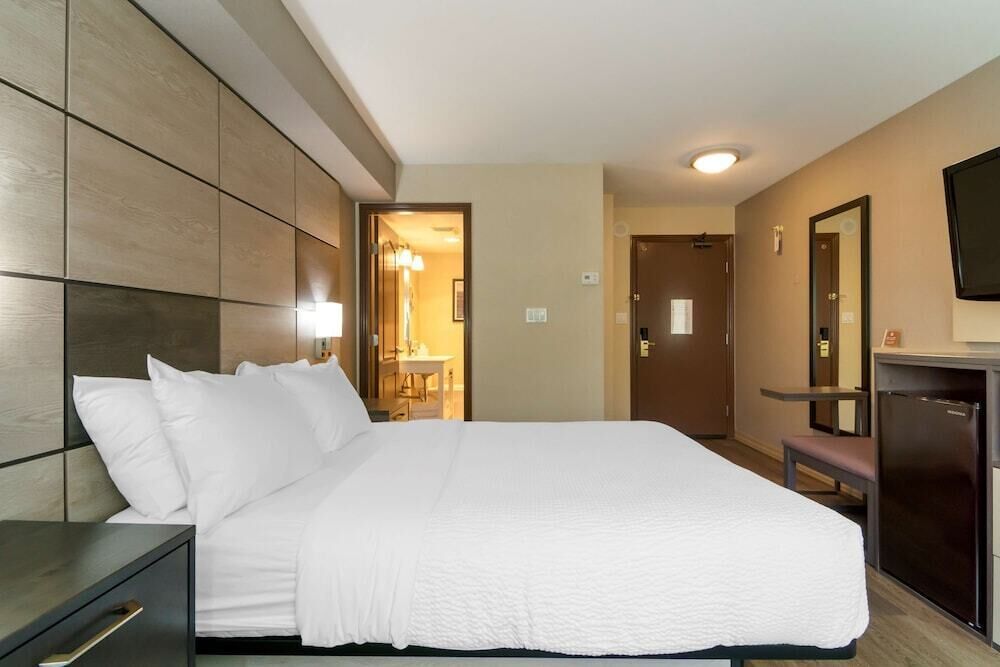 Hypo-allergenic bedding, down duvets, in-room safe, desk