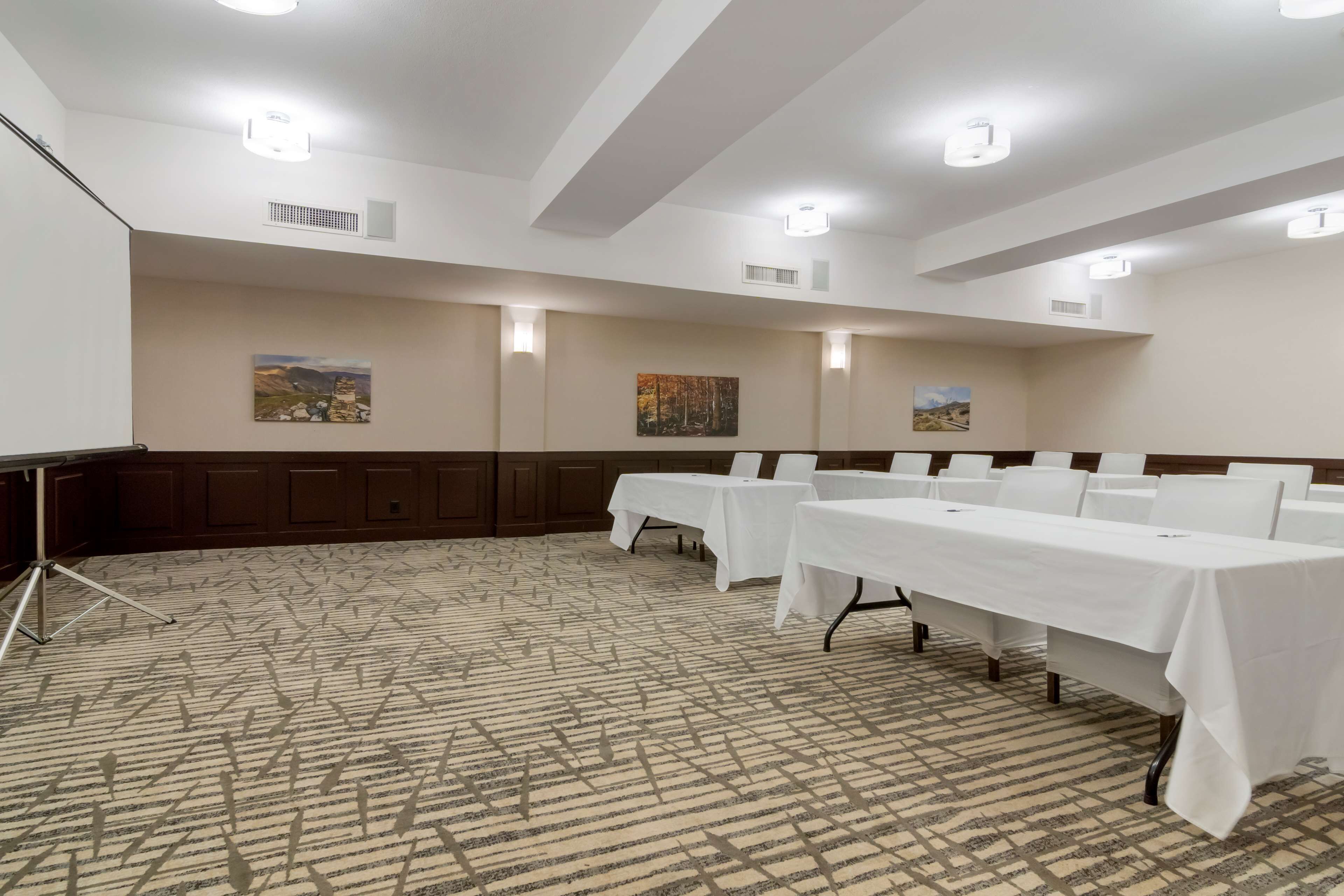 A conference room with a patterned carpet, white tables with chairs, and wall-mounted artwork.