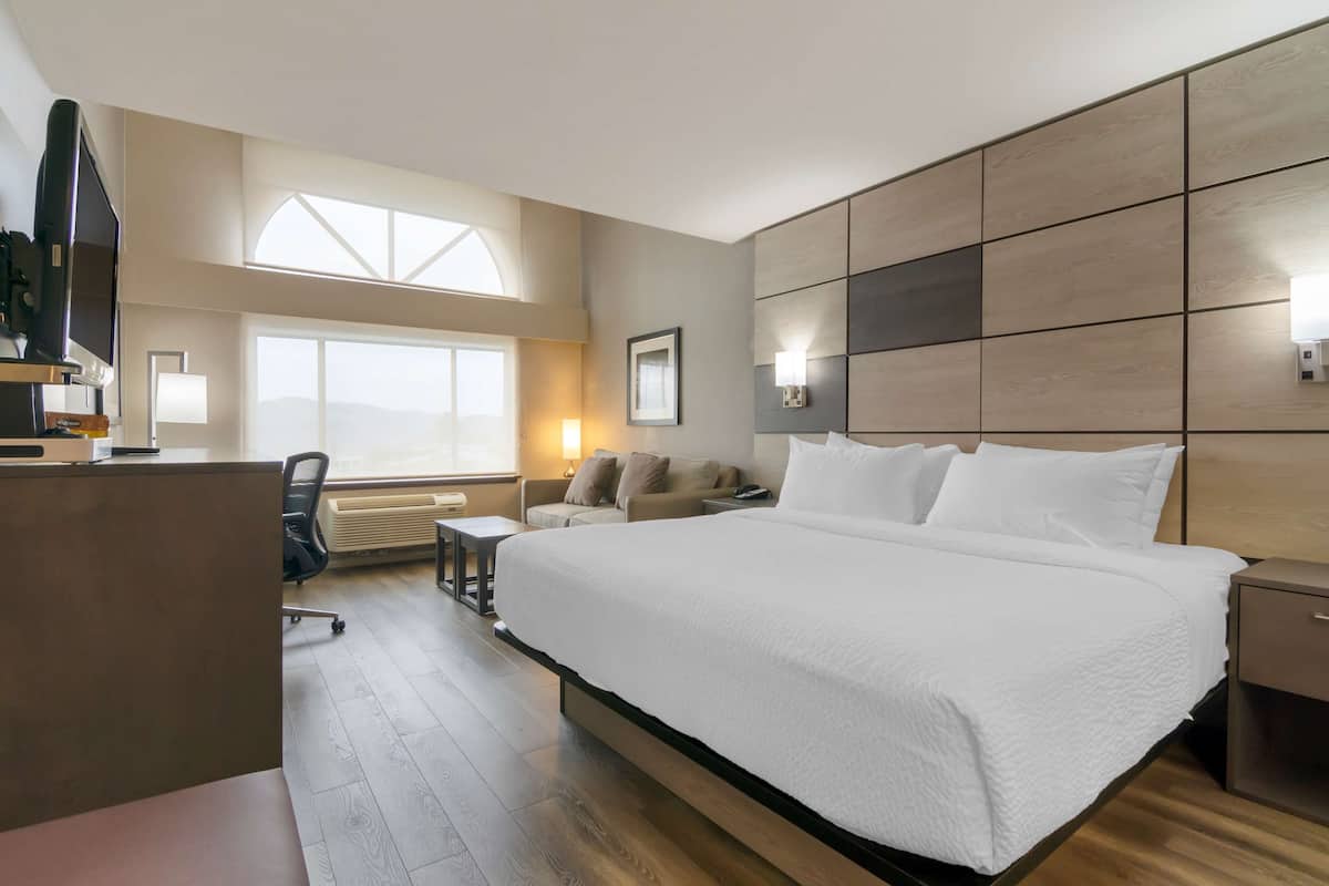 1 habitación, ropa de cama hipoalergénica y cubrecamas