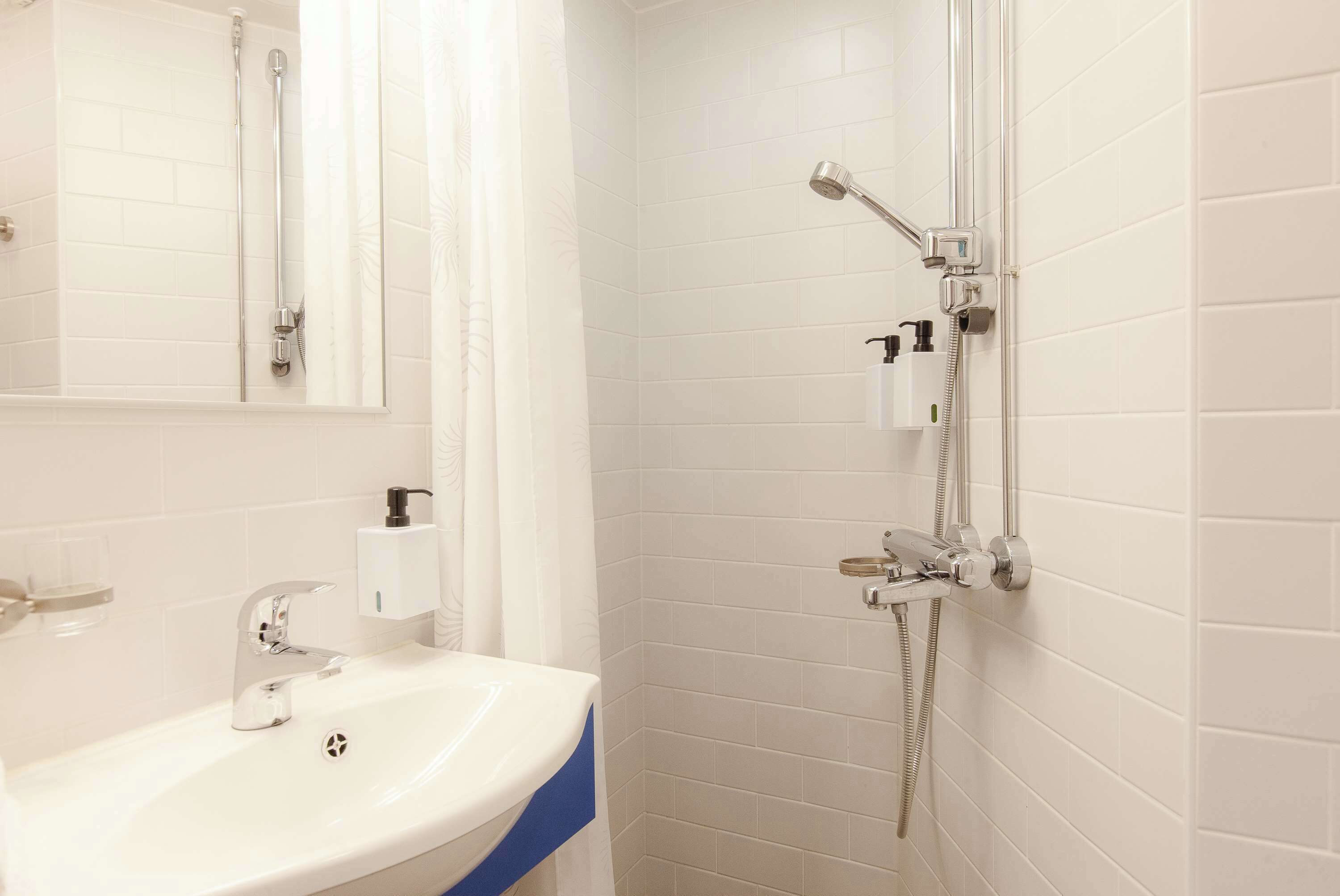 A bathroom with a white sink, a mirror, a shower with a handheld showerhead, and a toilet.