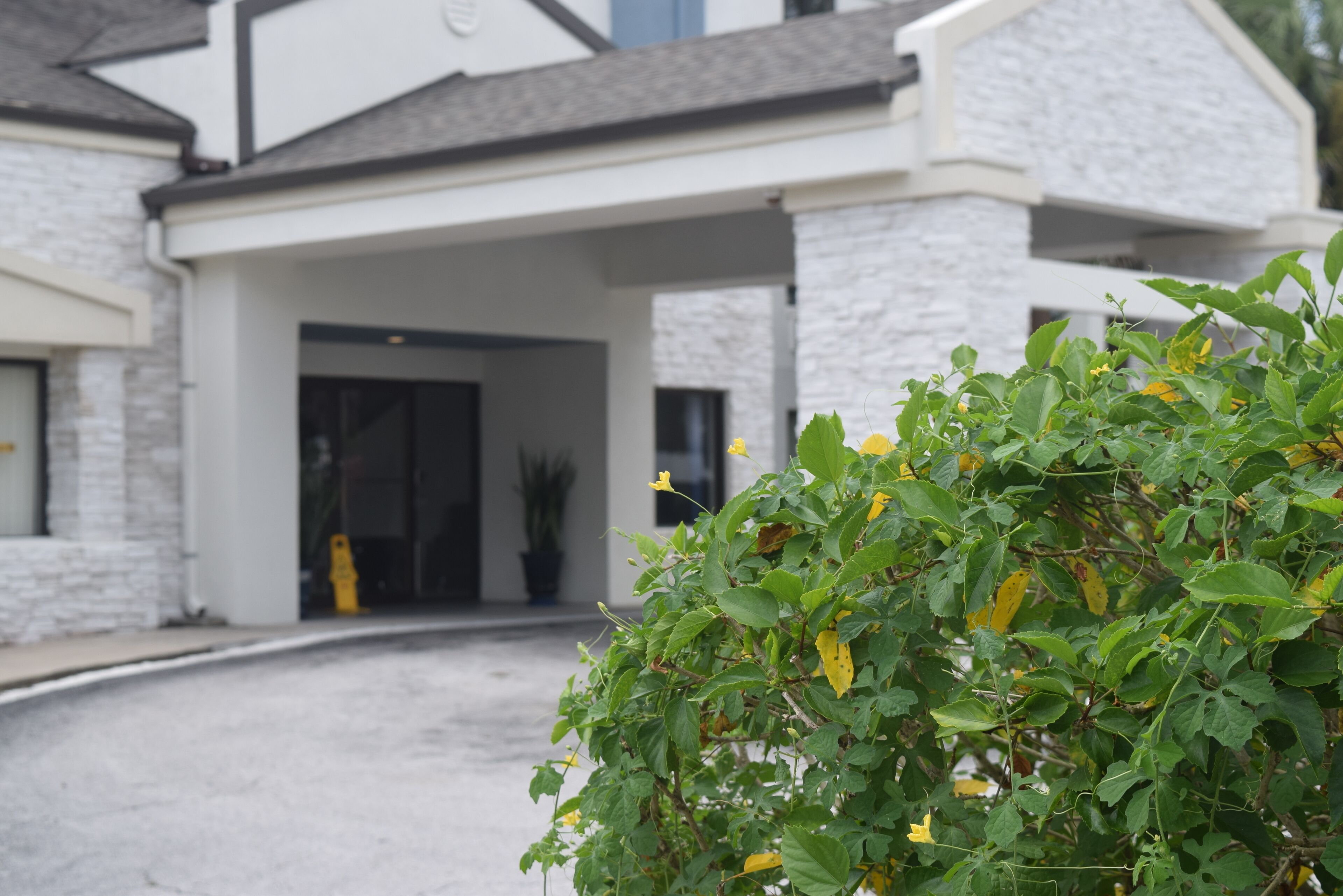 Foto - Destiny Palms Hotel Maingate West