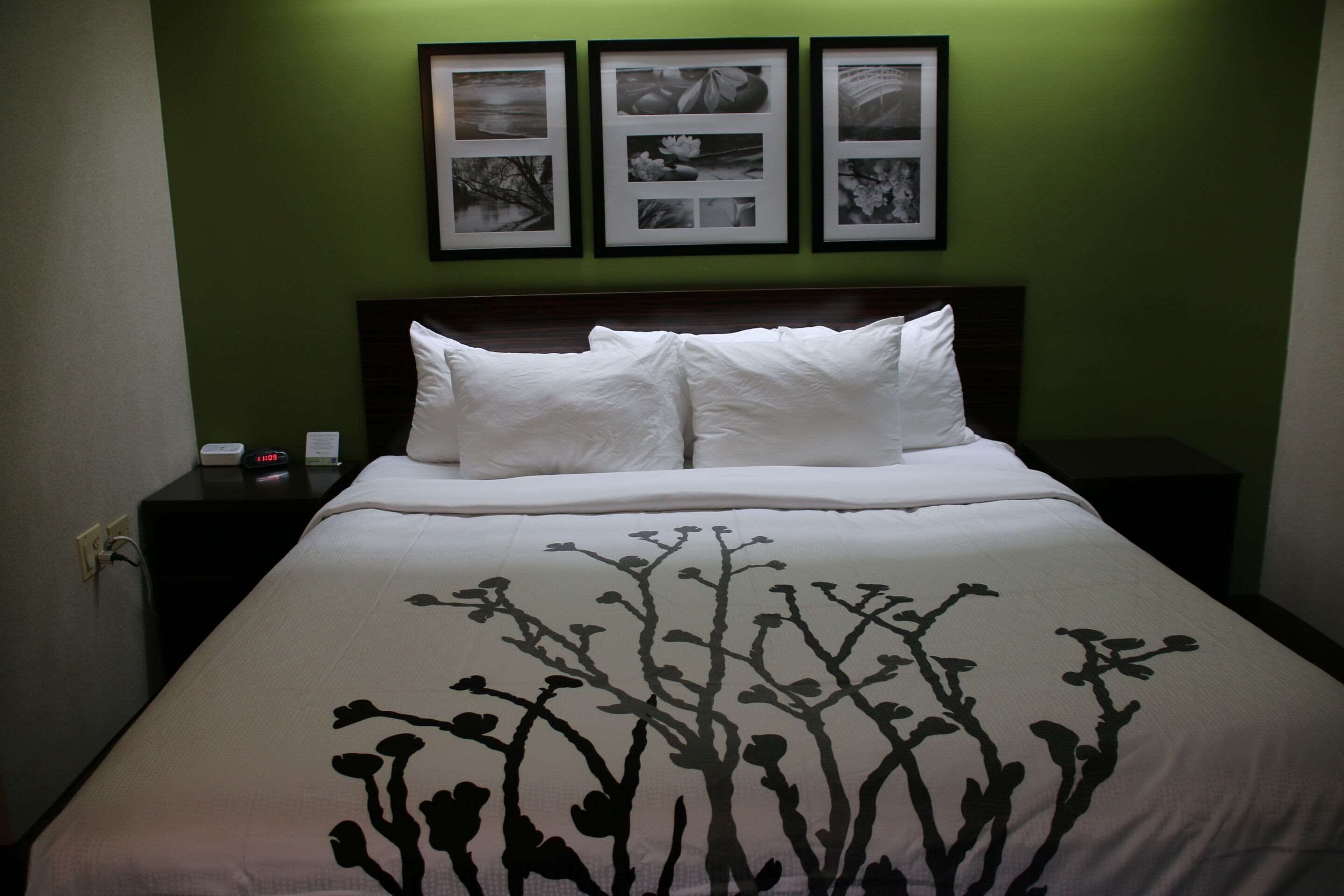 Foto - Sleep Inn near Great Lakes Naval Base