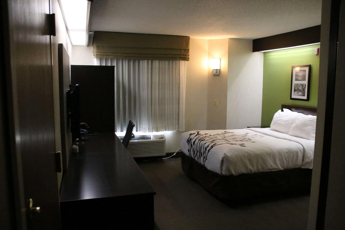 Room, 1 Queen Bed, Accessible, Non Smoking | In-room safe, desk, laptop workspace, blackout drapes