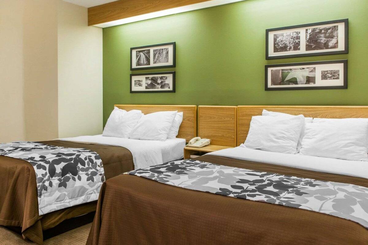 A hotel room with two beds, green walls, and framed pictures on the wall.
