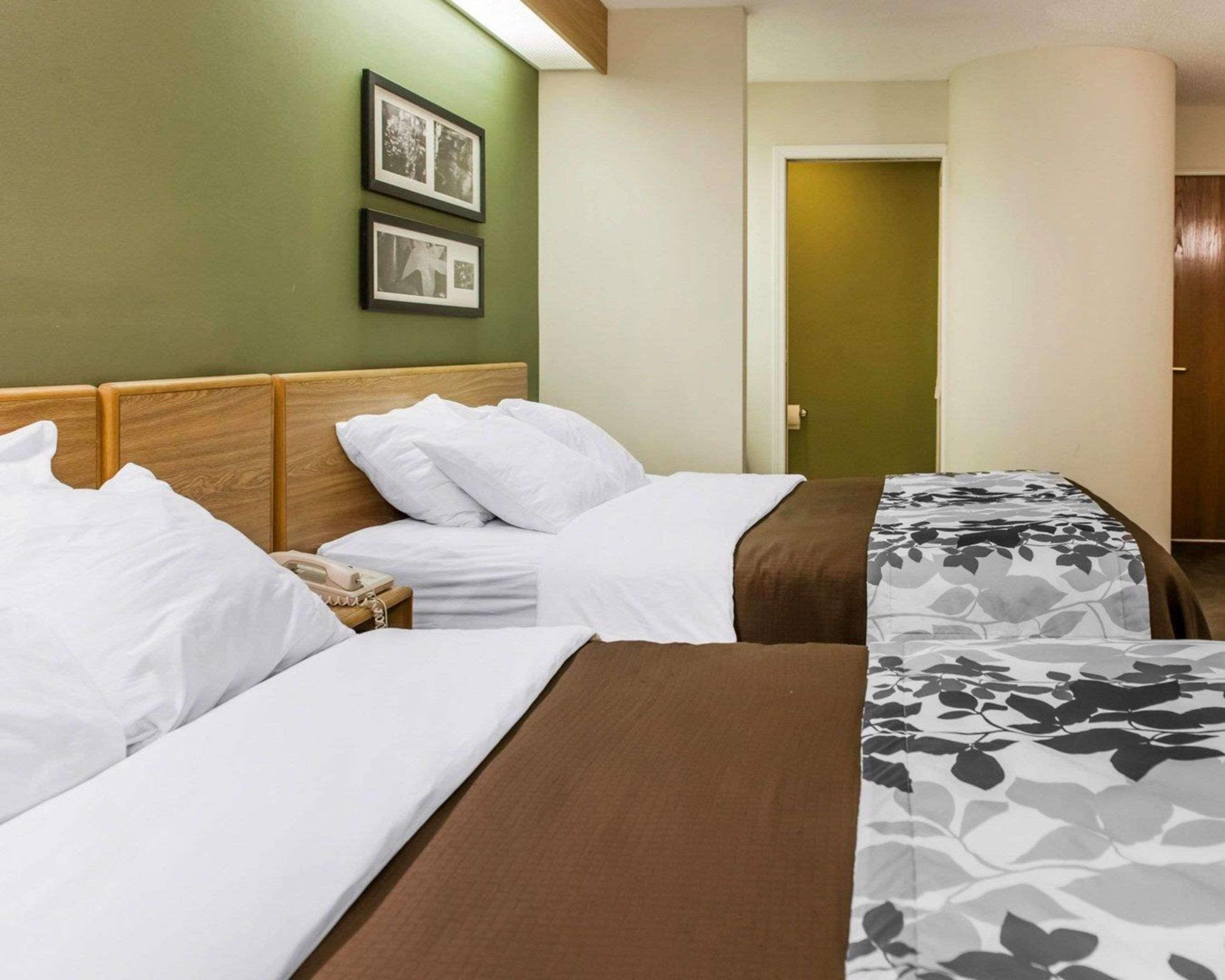 Une chambre d’hôtel avec deux lits, une tête de lit en bois, une table de chevet avec un téléphone et des tableaux encadrés au mur.