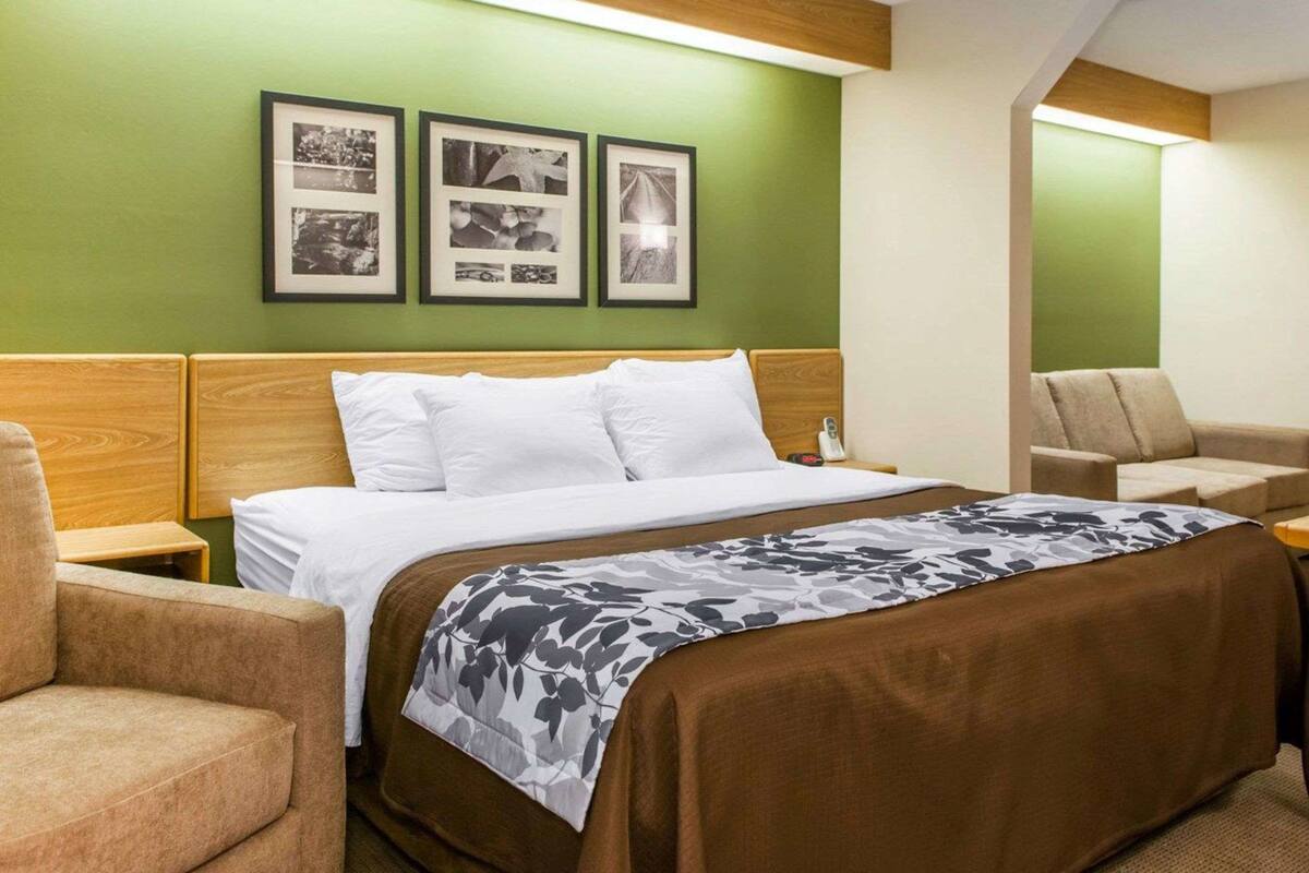 Suite, 1 King Bed, Non Smoking, Jetted Tub | In-room safe, iron/ironing board, rollaway beds (surcharge), WiFi (free)