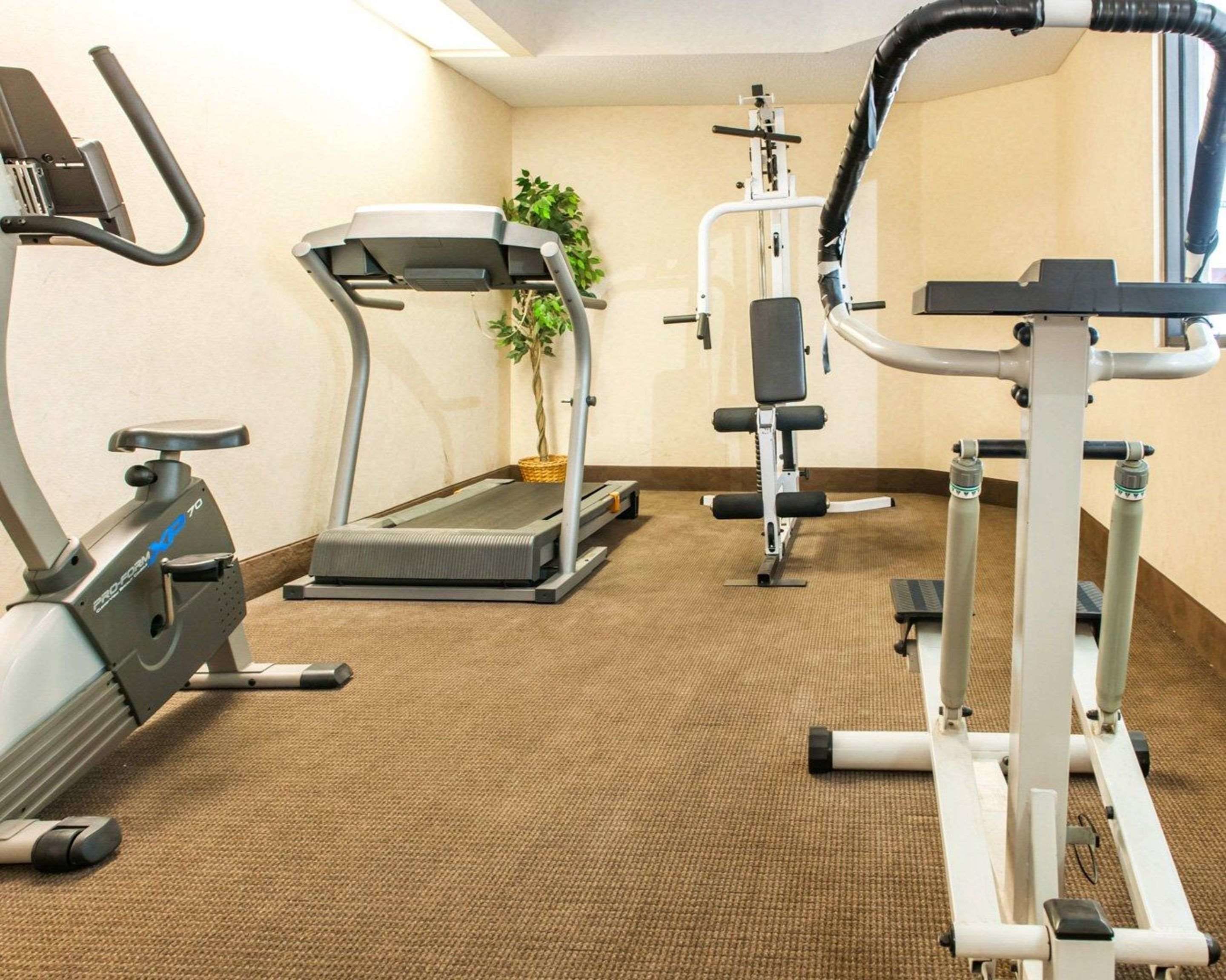 Una palestra con macchinari cardio, tapis roulant e cyclette.