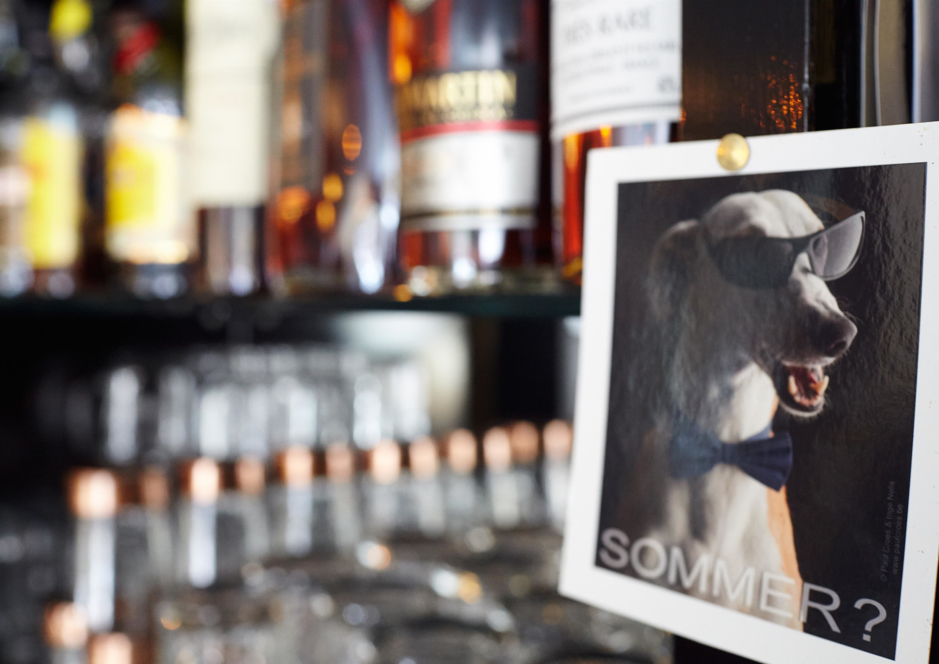 A bar with a photo of a dog wearing sunglasses and the word "SUMMER?" on it.