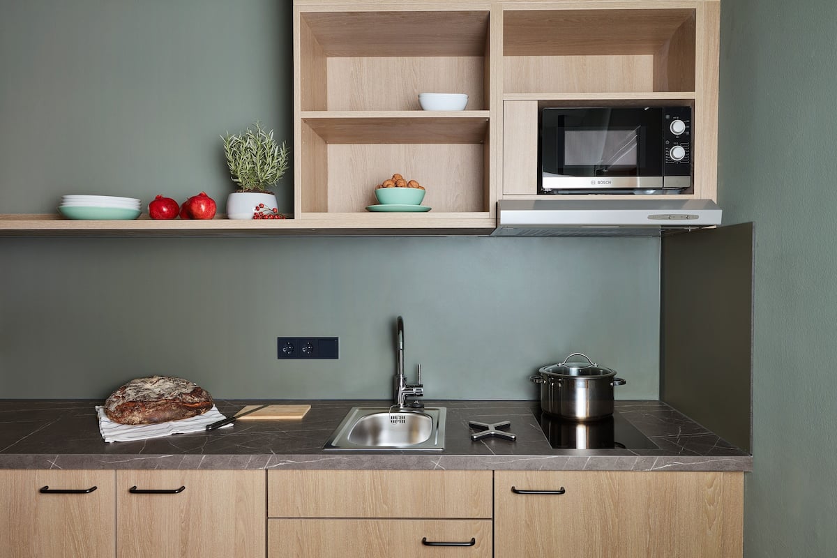 apartment, patio | private kitchen | fridge, microwave, stovetop, coffee/tea maker