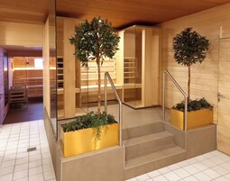 Sauna, massaggi