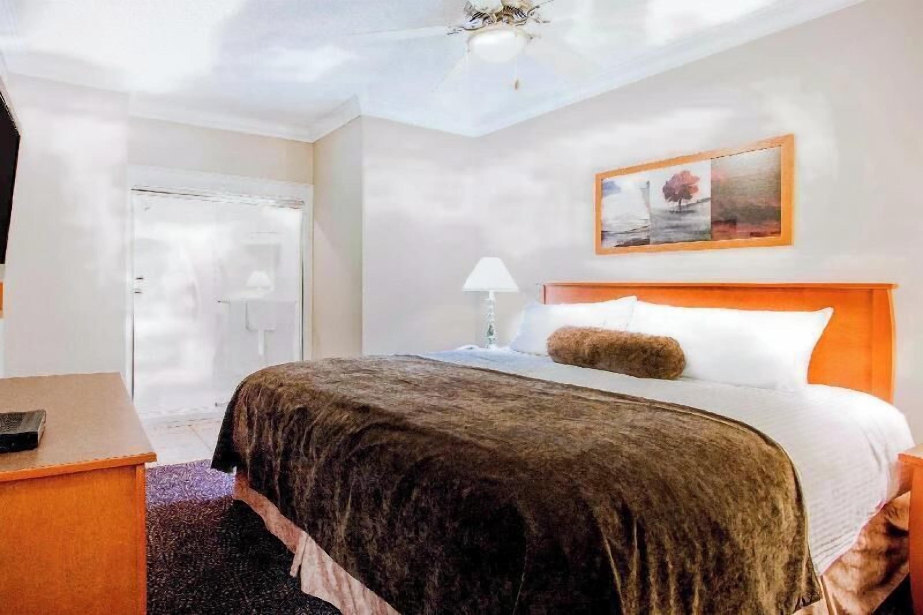 办公桌、遮光窗帘、熨斗/熨衣板、免费婴儿床