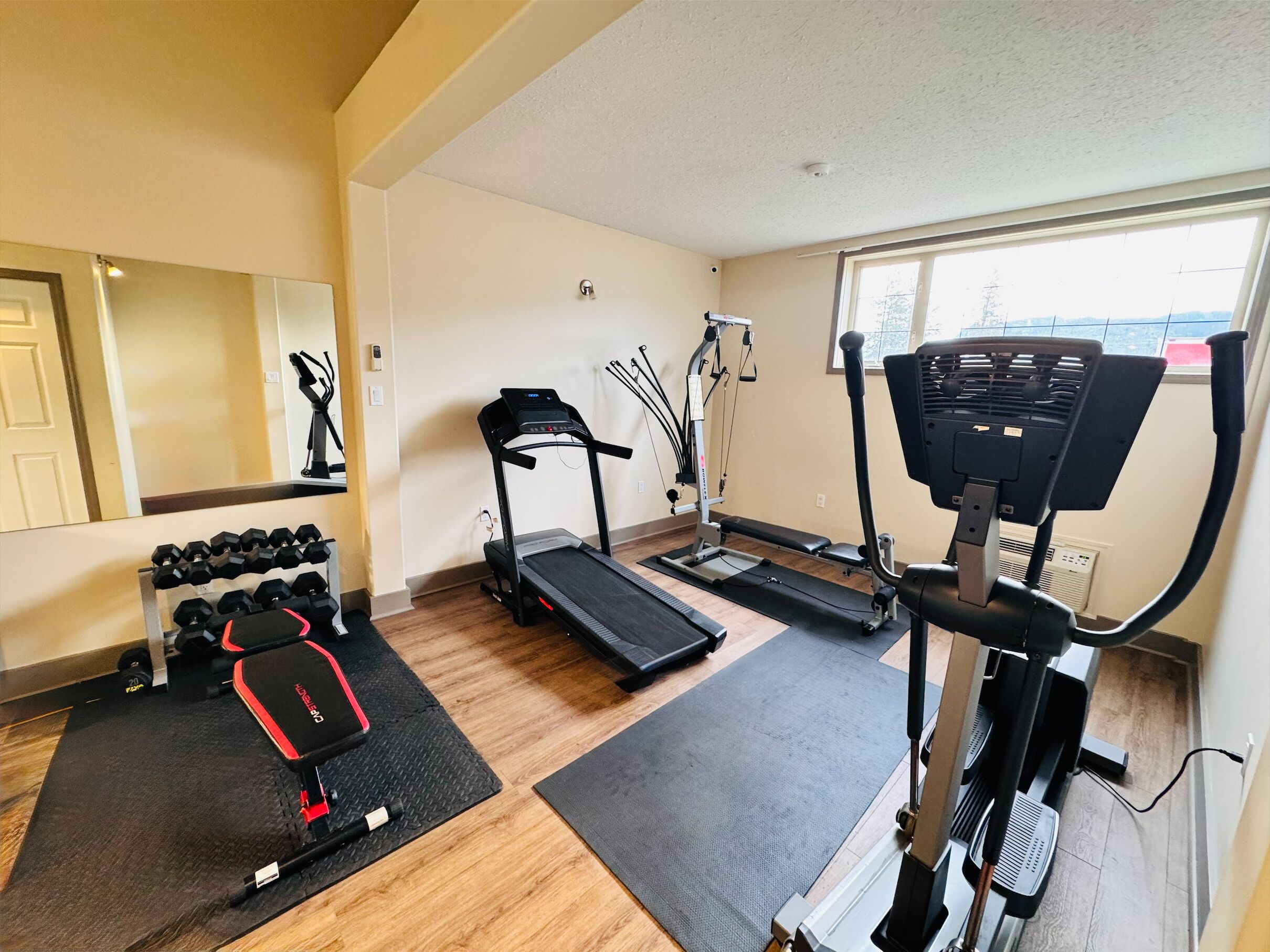 A home gym with a treadmill, elliptical, and dumbbells.