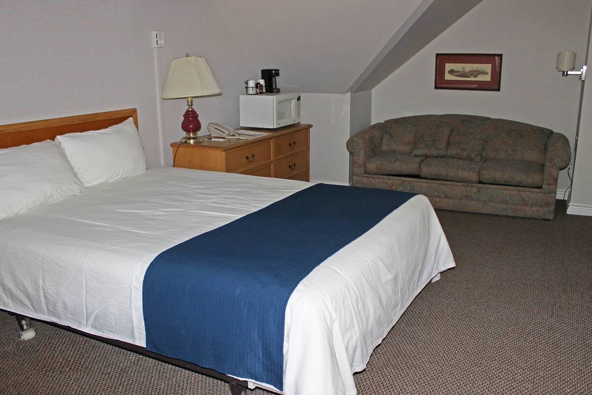 Standard Room, 1 Queen Bed with Sofa bed, Non Smoking | Minibar, WiFi (free), individually decorated, individually furnished