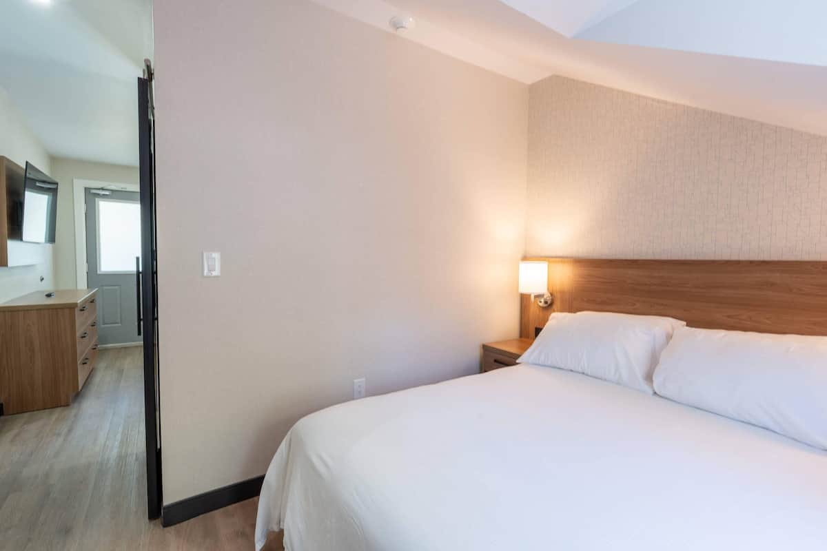 Room, 1 King Bed, Non Smoking | Minibar, WiFi (free), individually decorated, individually furnished