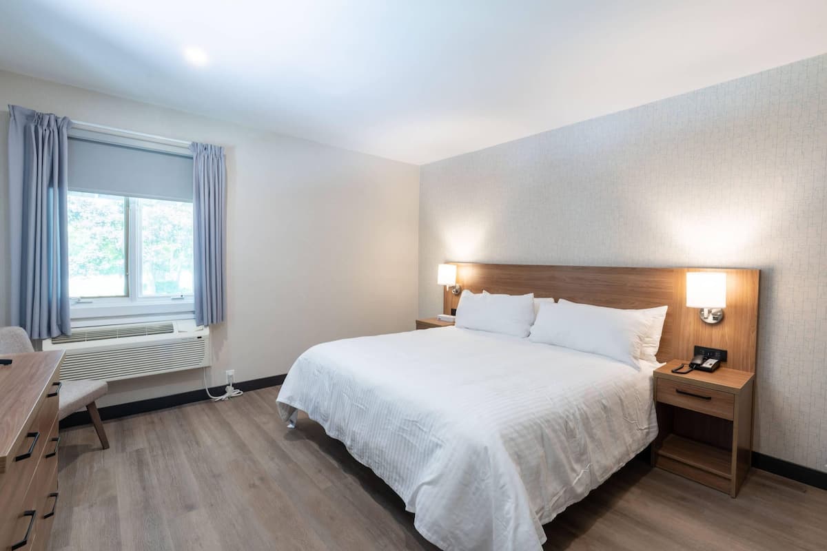 Room, 1 King Bed, Non Smoking | Minibar, WiFi (free), individually decorated, individually furnished
