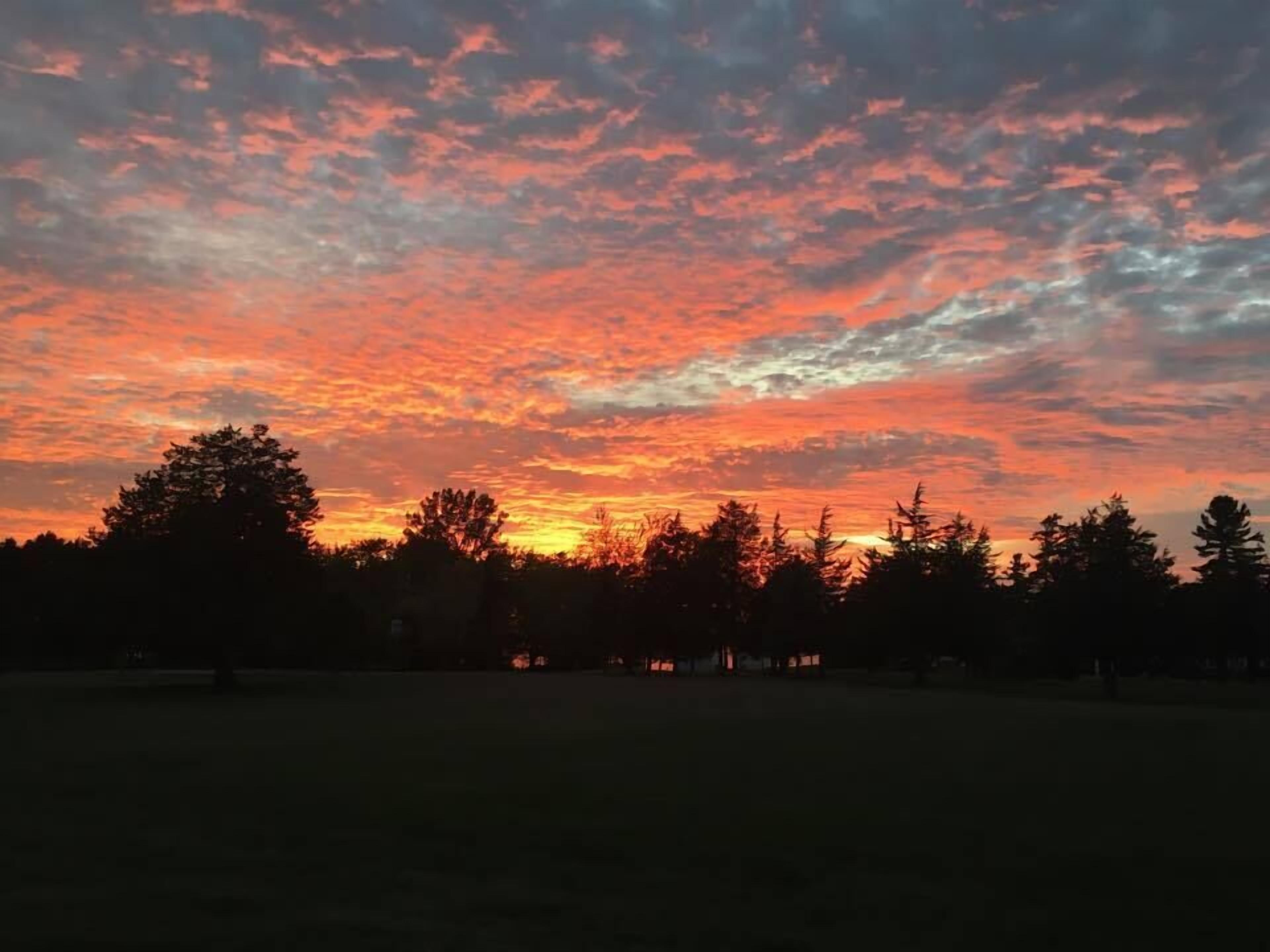 A sunset over a park with trees silhouetted against the sky.