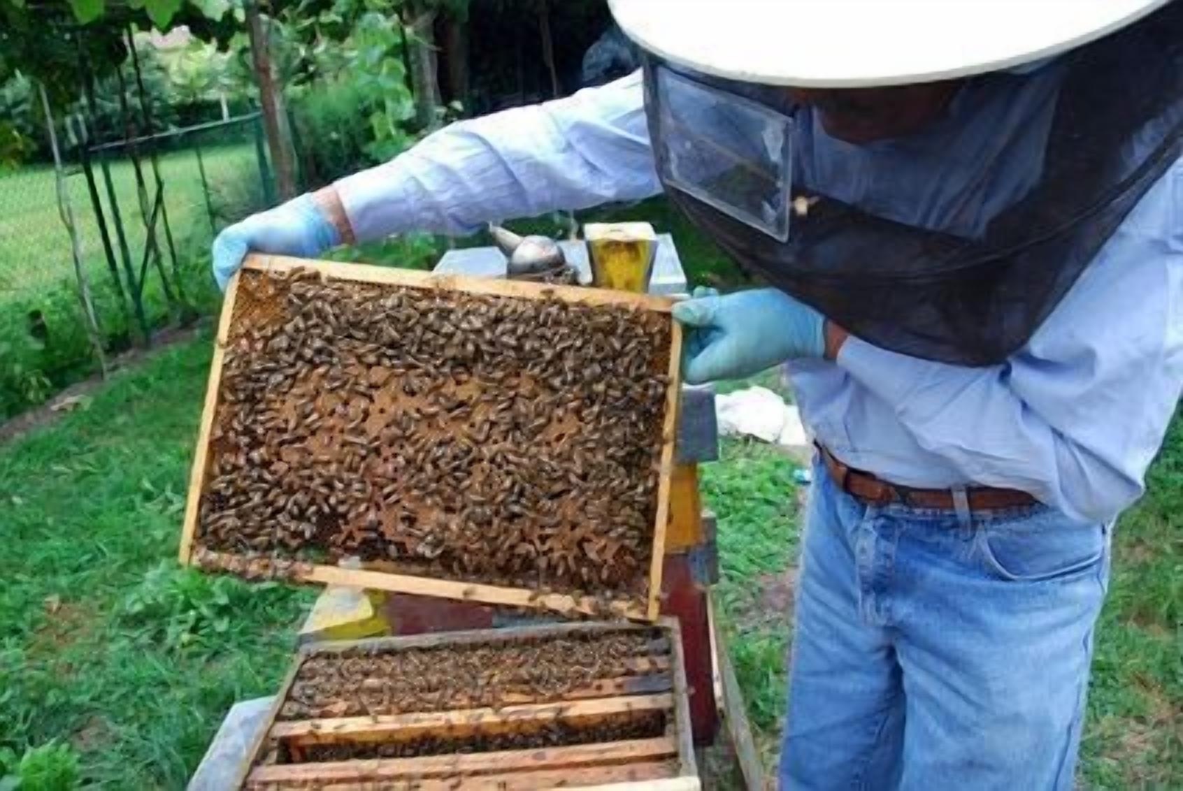 Photo - Perryville House