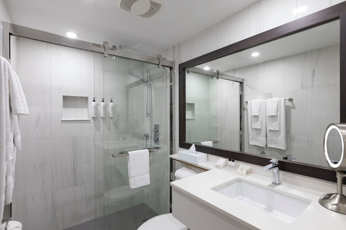 Combined shower/bathtub, eco-friendly toiletries, hair dryer, towels