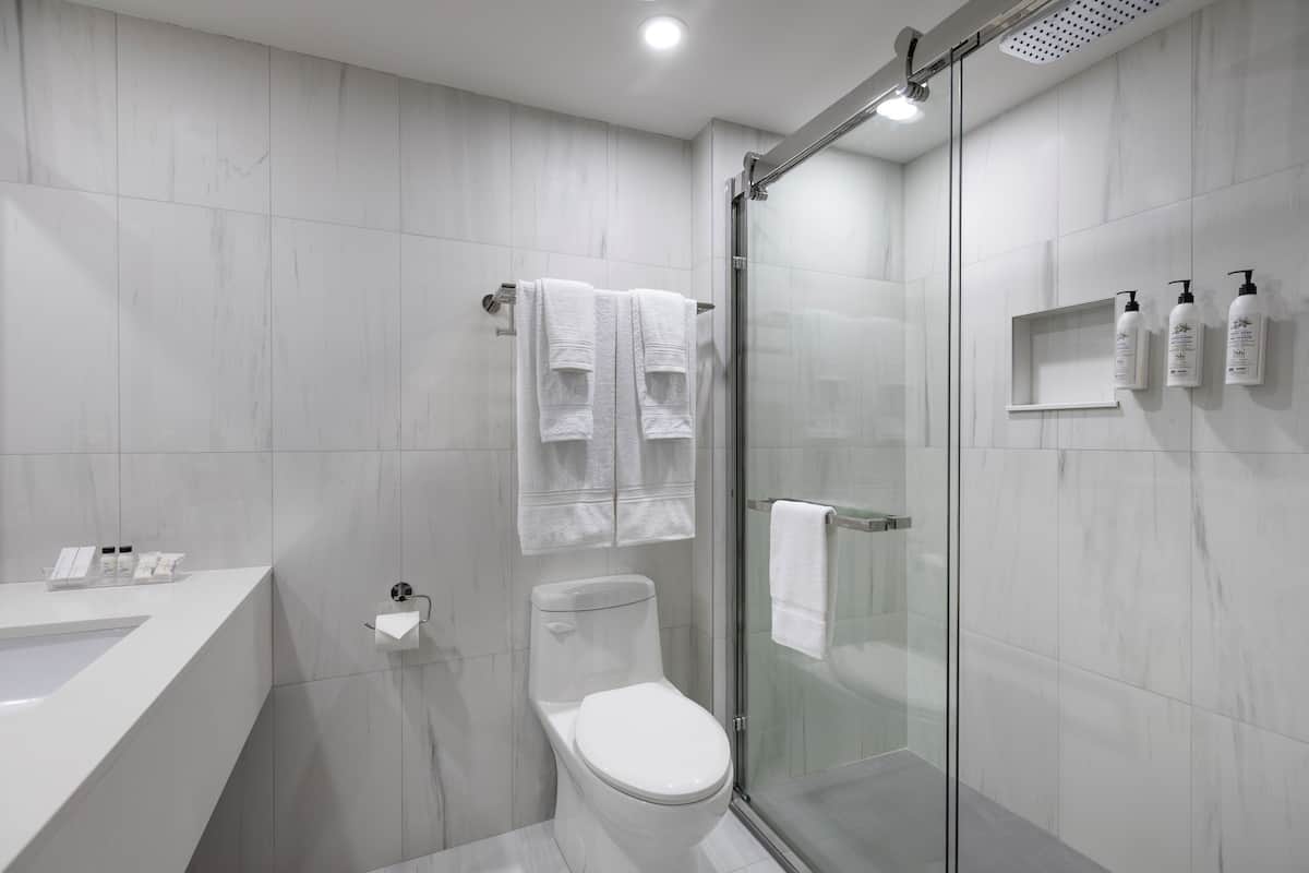 Standard Room, 2 Queen Beds | Bathroom | Combined shower/bathtub, eco-friendly toiletries, hair dryer, towels