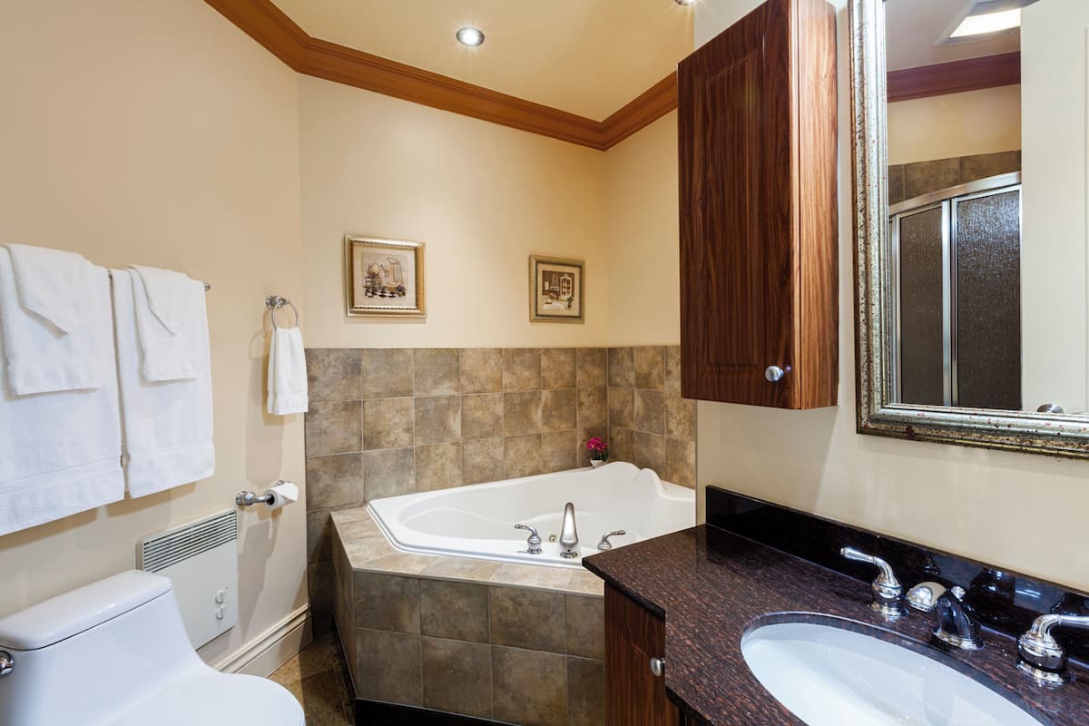 Combined shower/bathtub, eco-friendly toiletries, hair dryer, towels