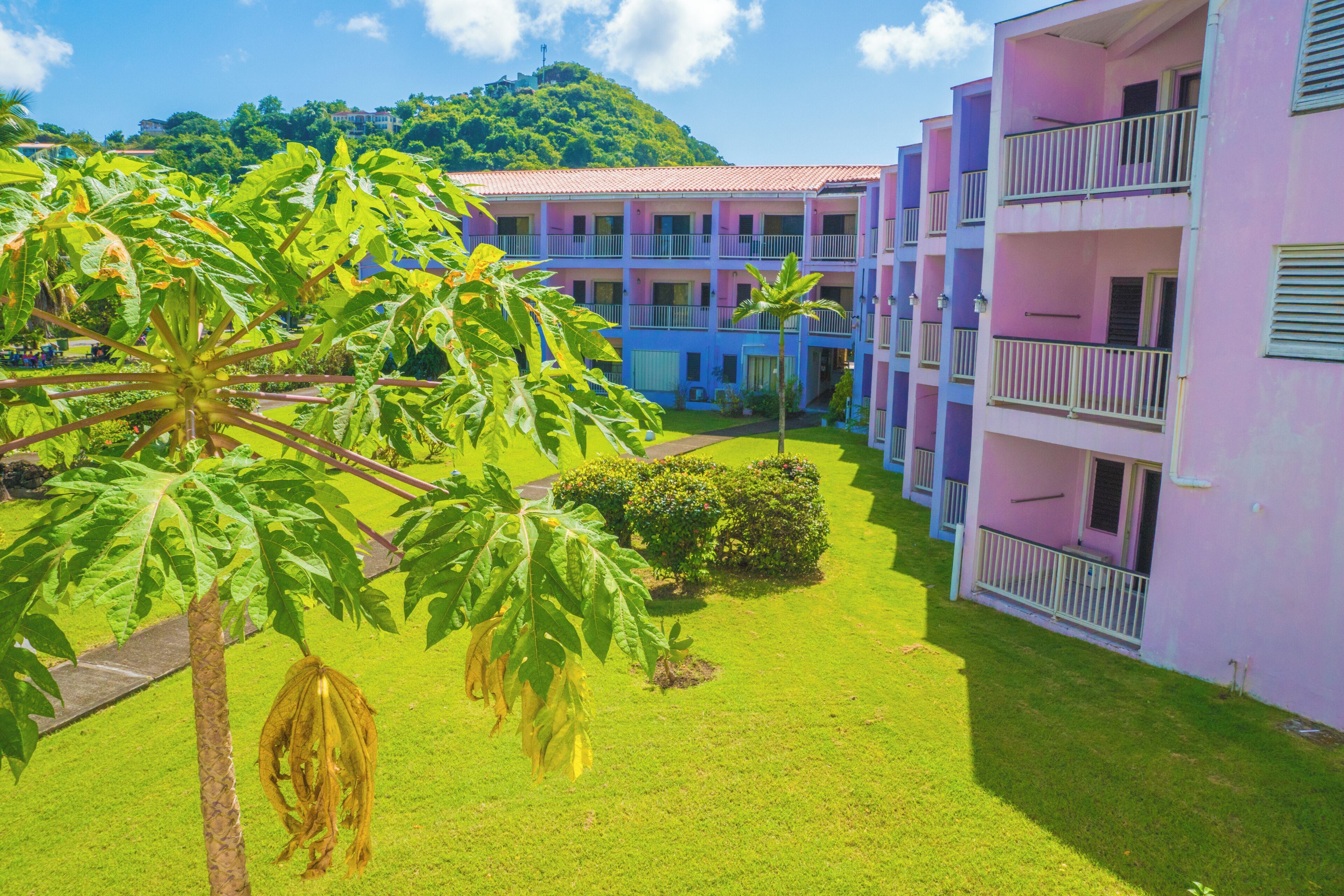 Photo - Allamanda Beach Hotel