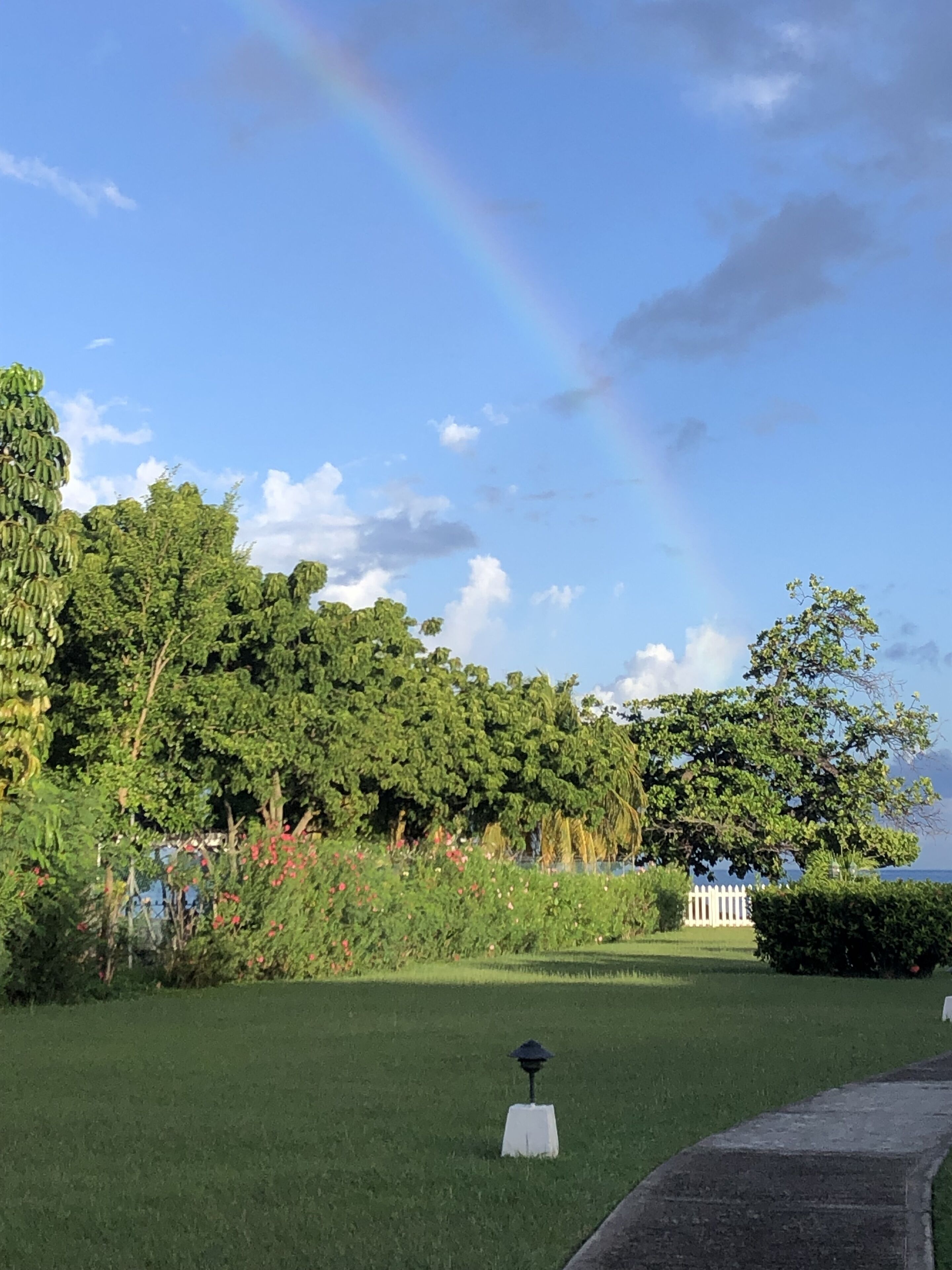 Foto - Allamanda Beach