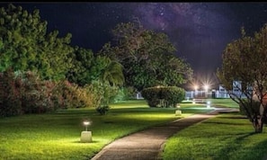 Vista noturna de um caminho bem iluminado em um ambiente semelhante a um parque, com árvores e um prédio ao longe.