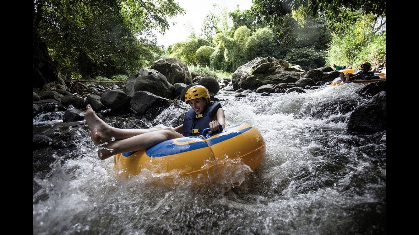 Foto - Allamanda Beach