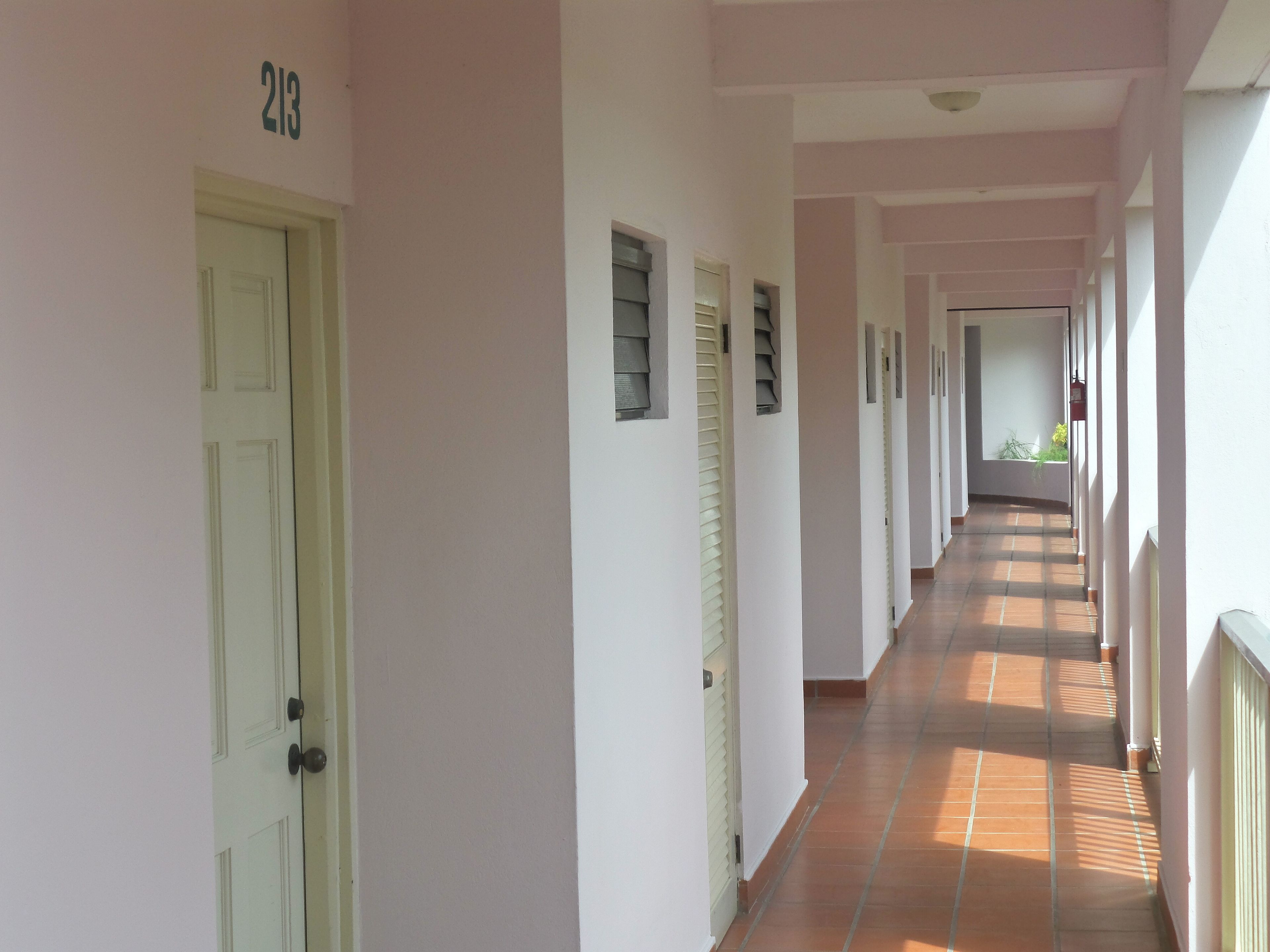 A corridor with doors numbered 213, leading to rooms.