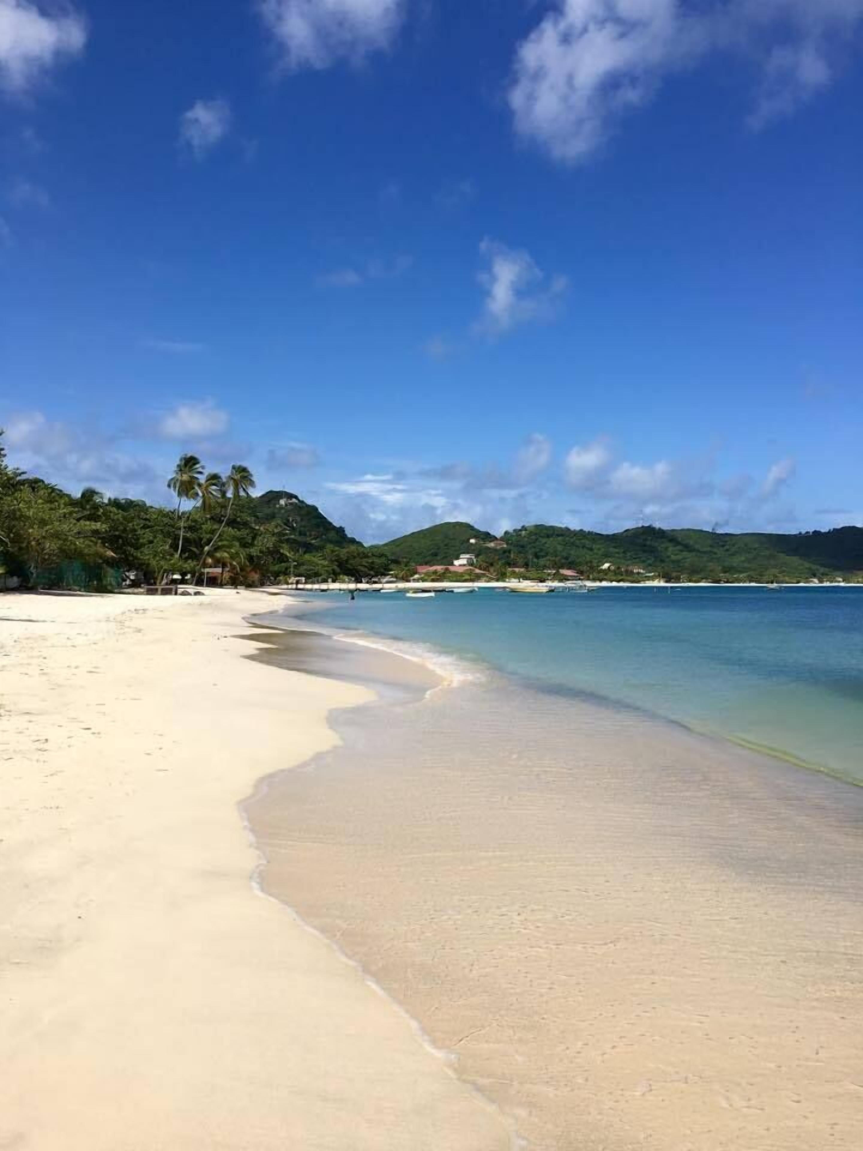 Foto - Allamanda Beach