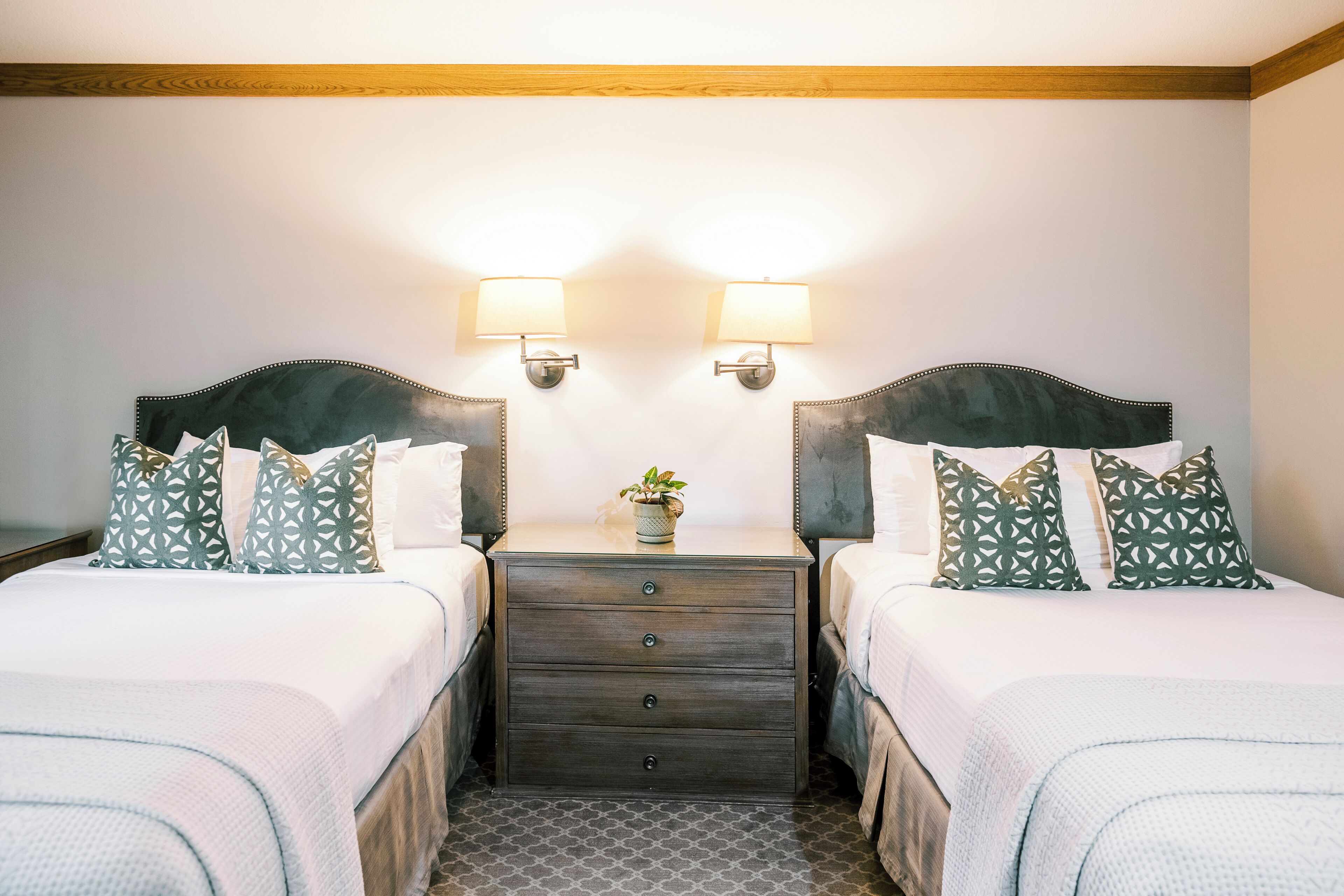 A hotel room with two beds, a nightstand with lamps, and a small plant.