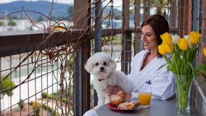 Une personne assise à une table, avec un petit chien, un verre de jus d’orange et une assiette de pâtisseries.