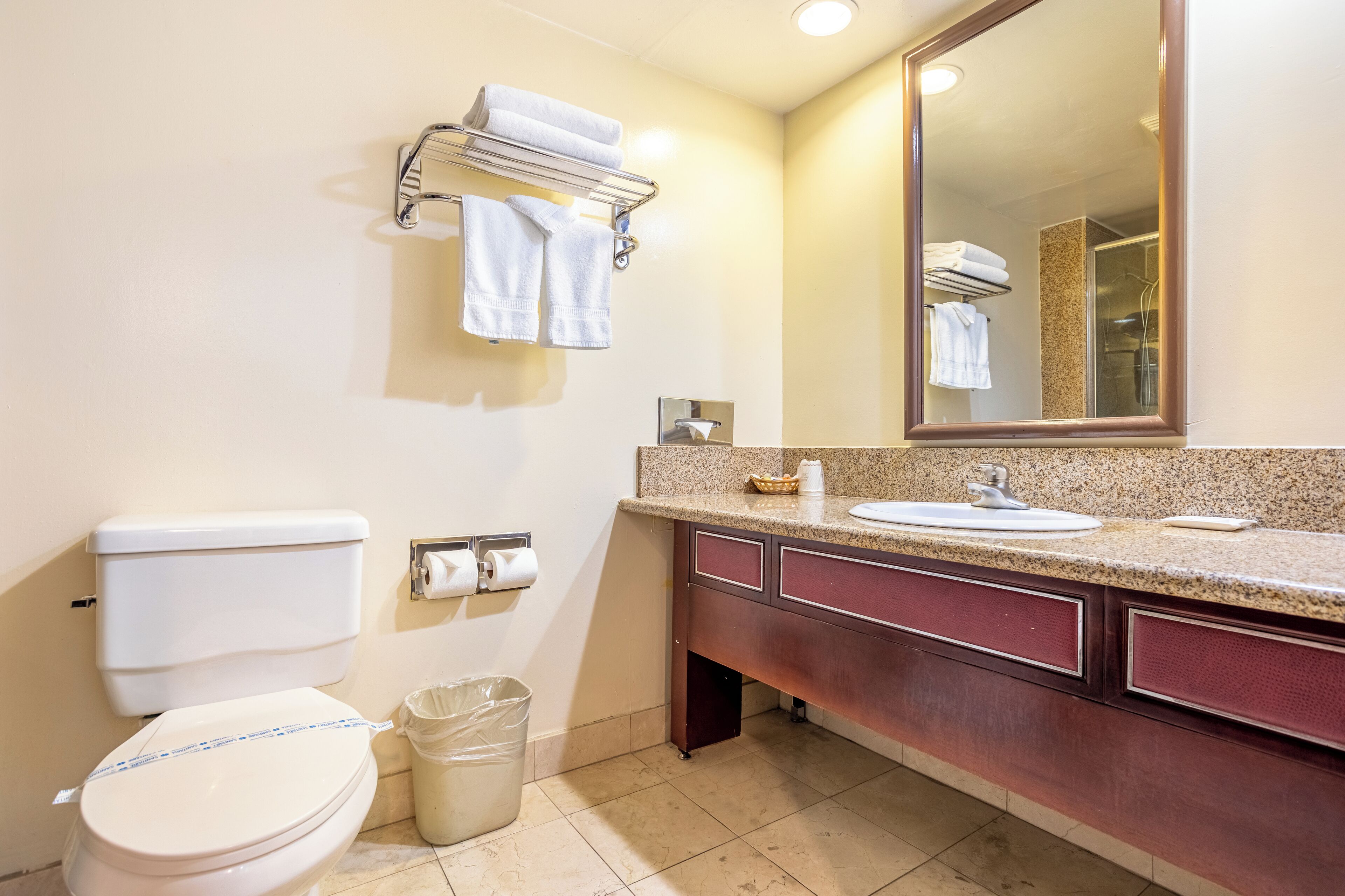A bathroom with a toilet, sink, mirror, towel rack, and trash can.