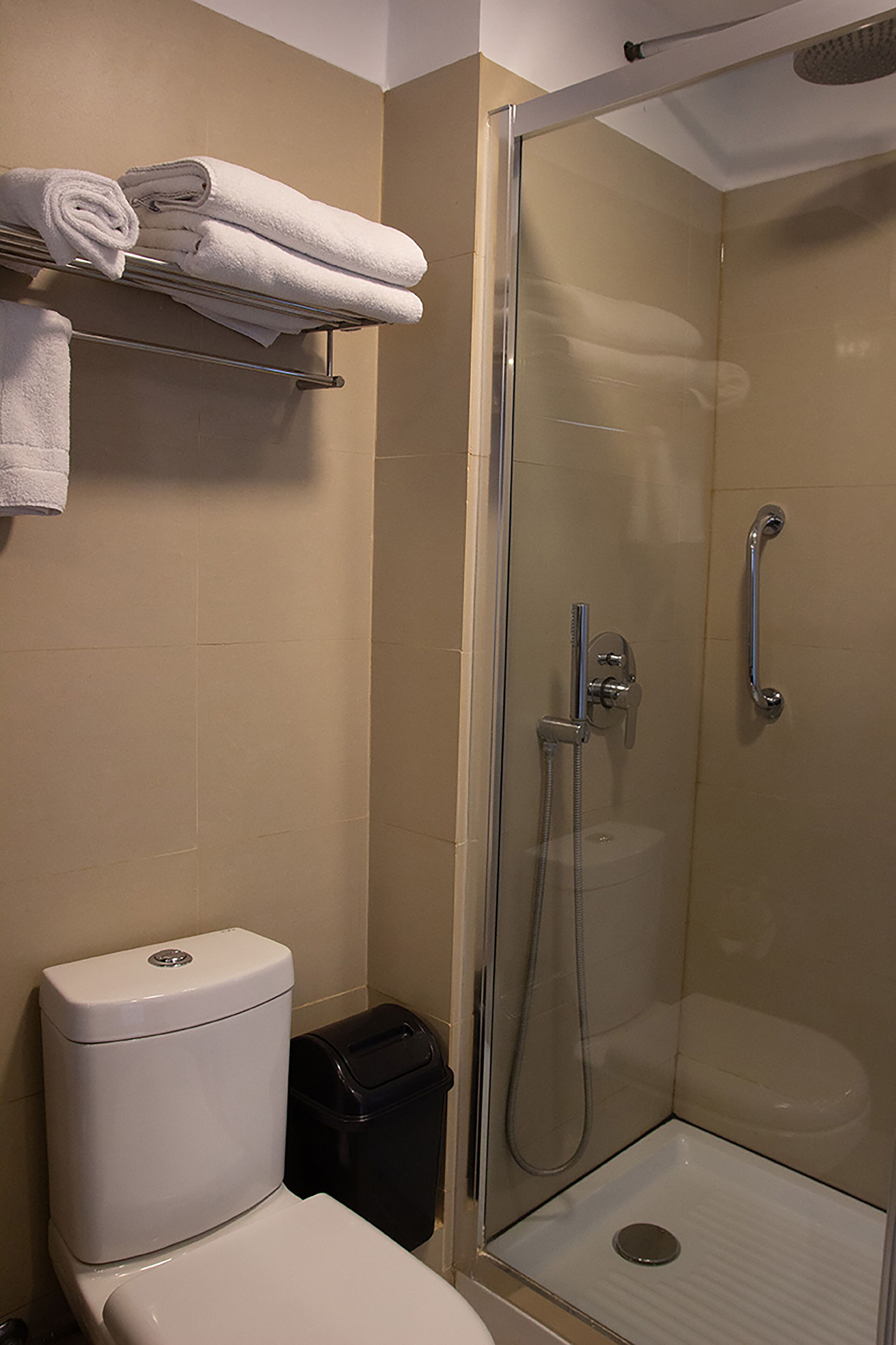 A bathroom with a toilet, a glass-enclosed shower, and a towel rack with folded towels.