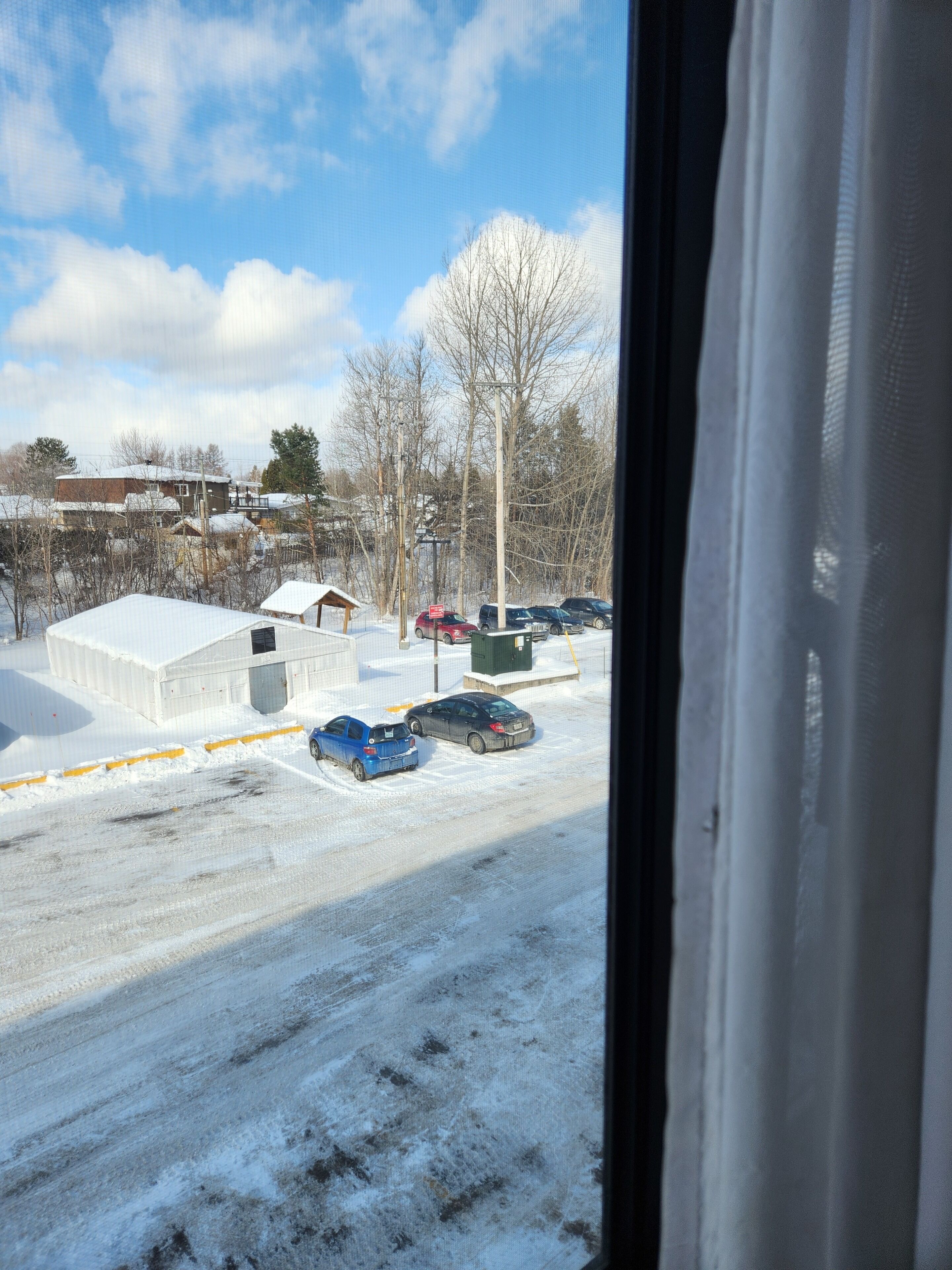 standard room, 2 double beds, refrigerator & microwave | premium bedding, select comfort beds, in-room safe, desk