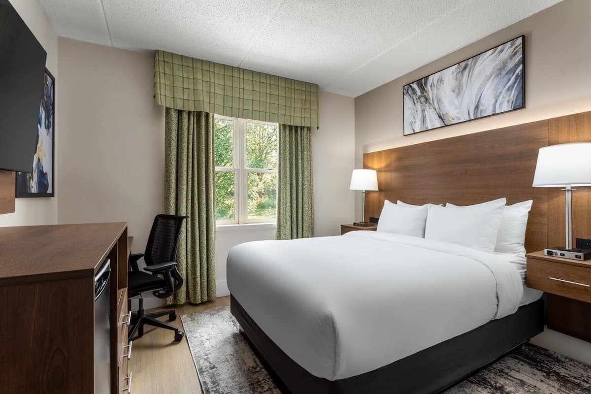 A hotel room with a large bed, a desk, a chair, a window with curtains, a wall-mounted artwork, and a nightstand with a lamp.