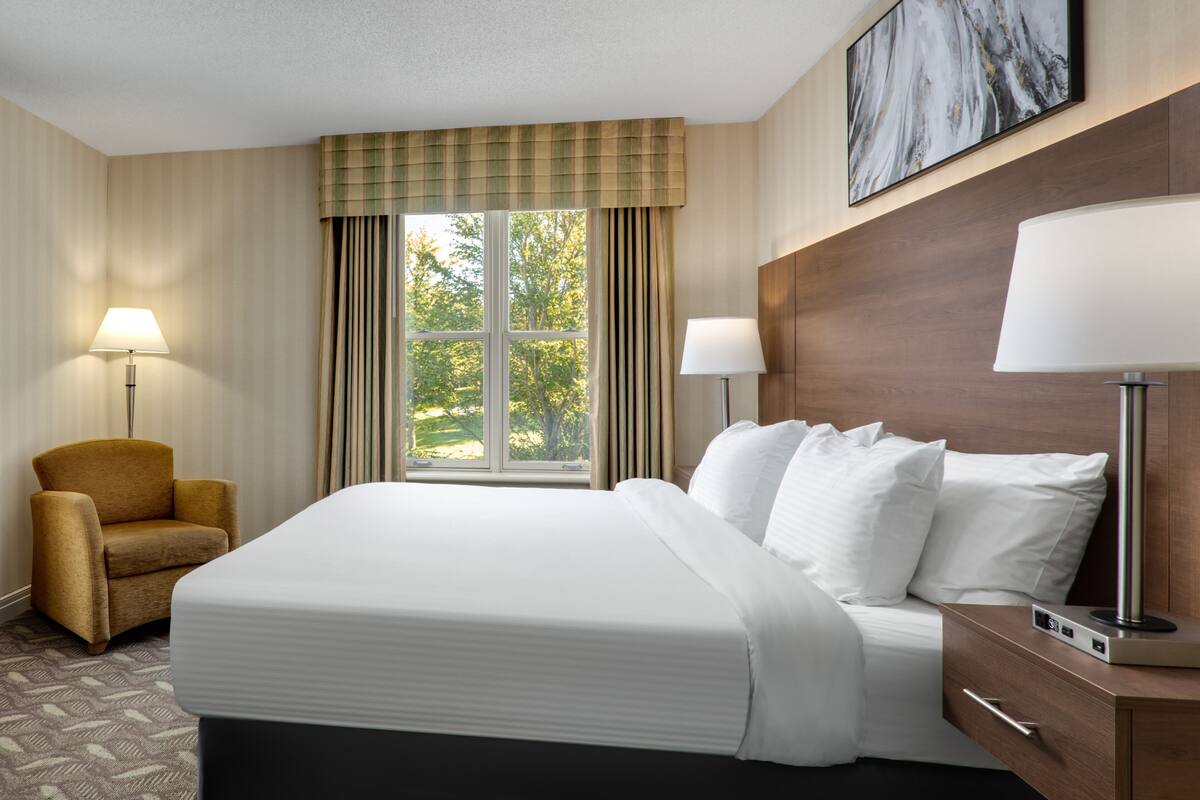 Executive Room, 1 Queen Bed | Desk, laptop workspace, blackout drapes, iron/ironing board