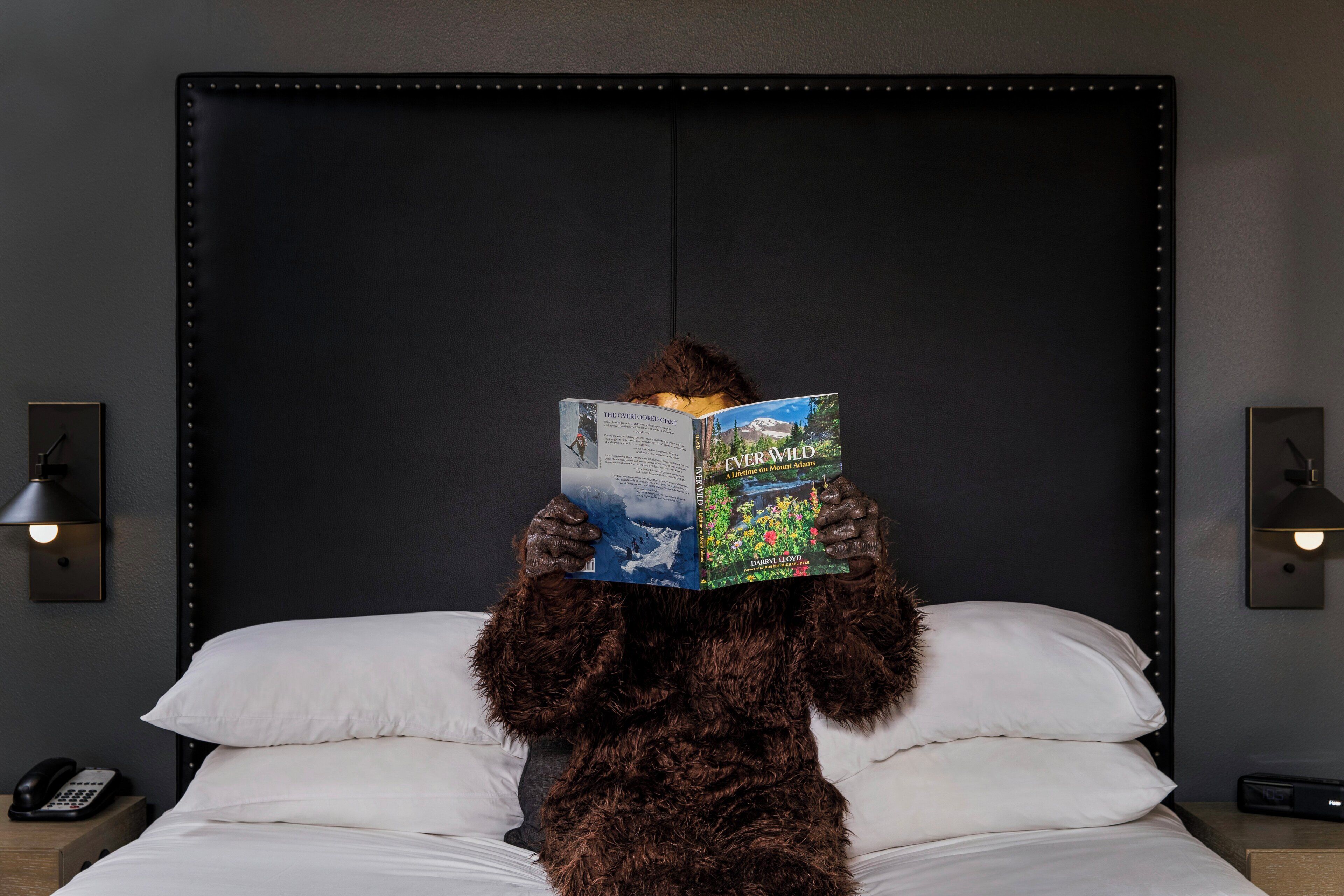 Une personne vêtue d’un costume d’animal est assise sur un lit, un livre intitulé « Ever Wild » de Darryl Lloyd à la main, et lit dans une pièce dont la tête de lit et les lampes de chevet sont de couleur sombre.