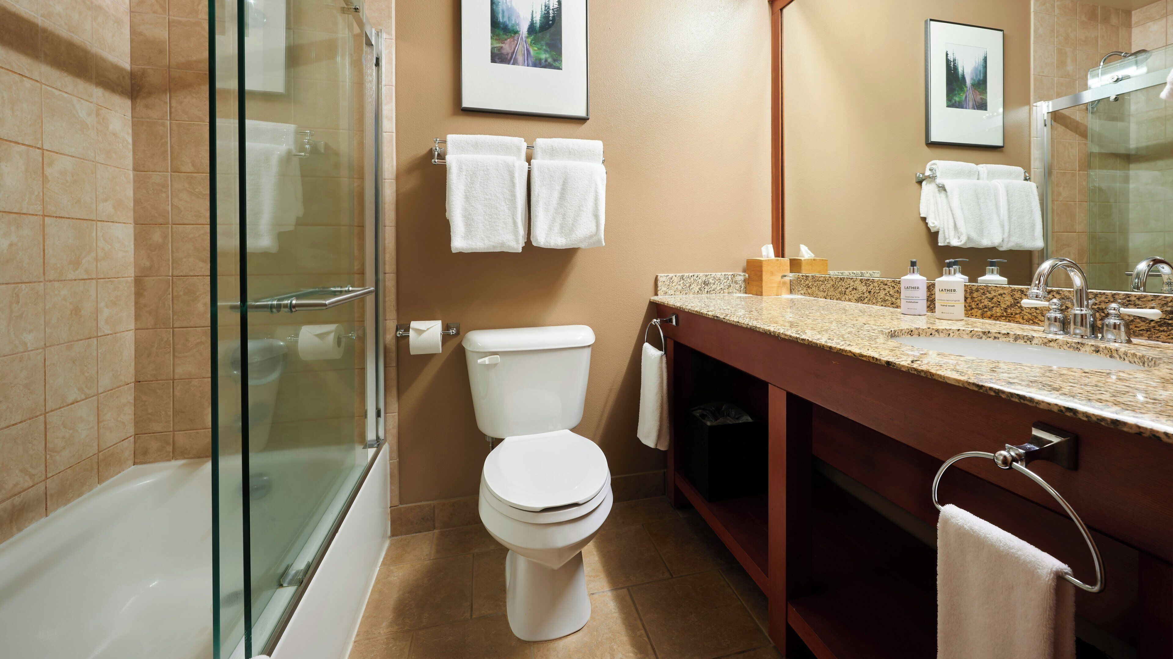 A modern bathroom with a glass shower enclosure, a toilet, a sink with a granite countertop, and a mirror.