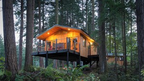 A wooden cabin with a balcony, surrounded by tall trees. - Skamania Lodge (Stevenson)