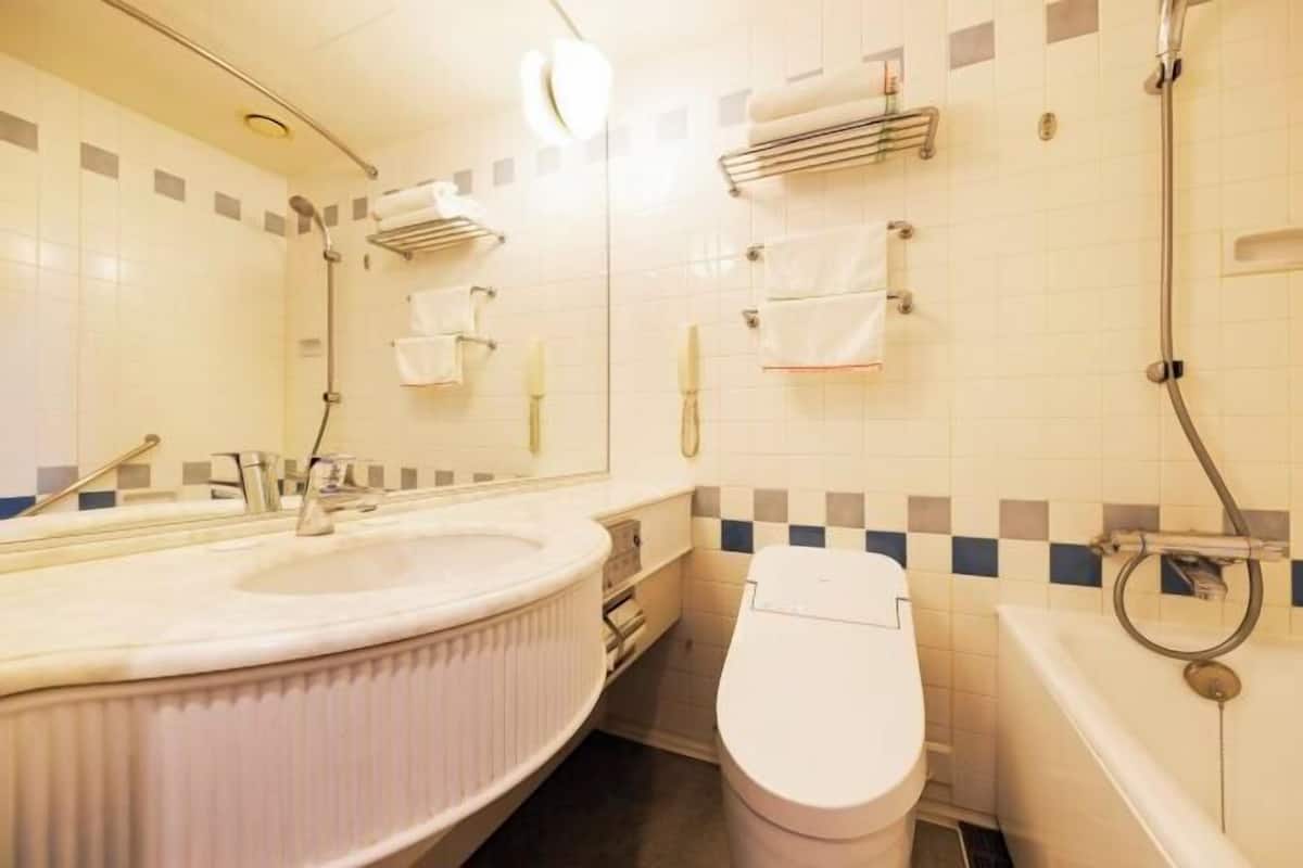 Combined shower/bathtub, free toiletries, hair dryer, slippers