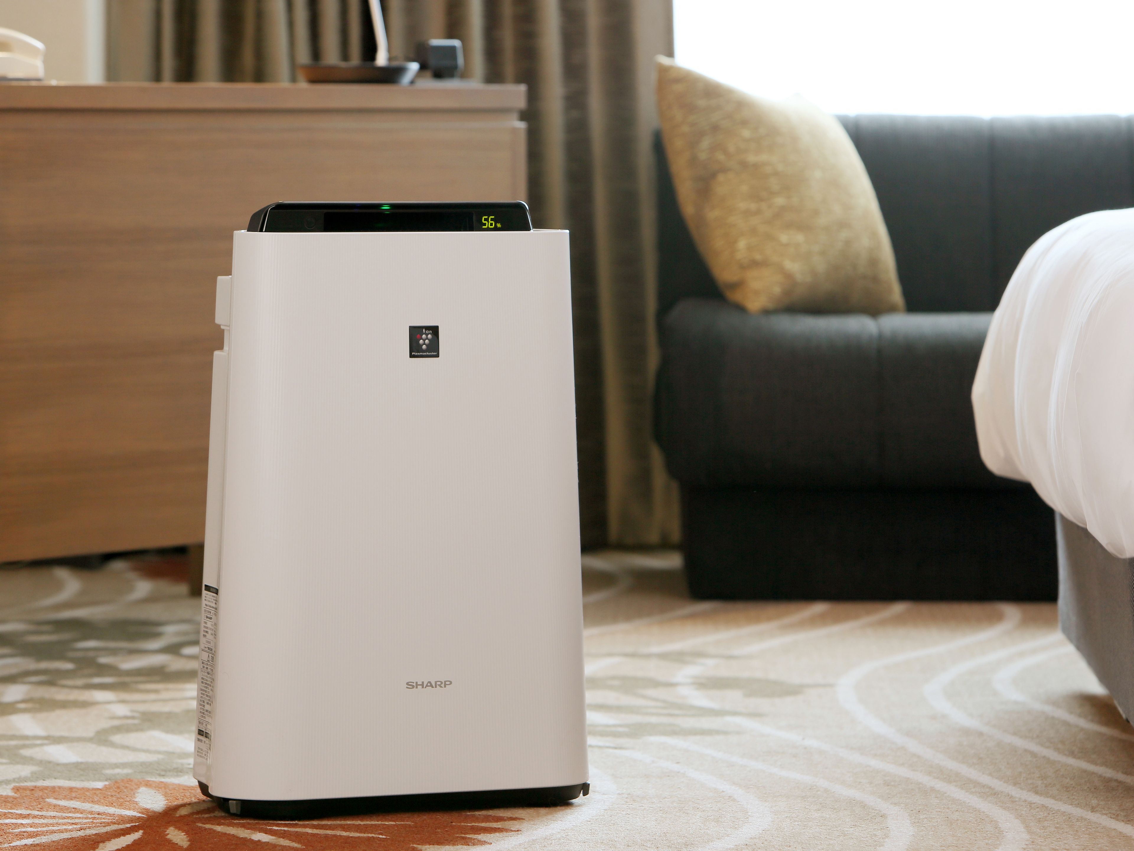 standard single room, 1 bedroom, non smoking | room amenity