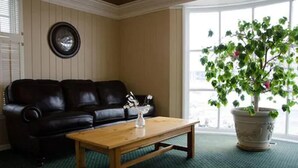 Una sala de estar con un sofá de cuero negro, una mesa de centro de madera y una planta en maceta.