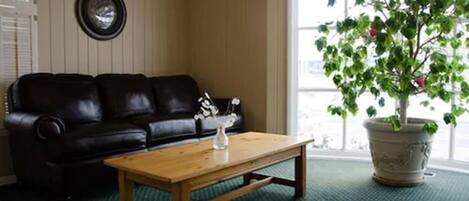 A living room with a black leather sofa, a wooden coffee table, and a potted plant.