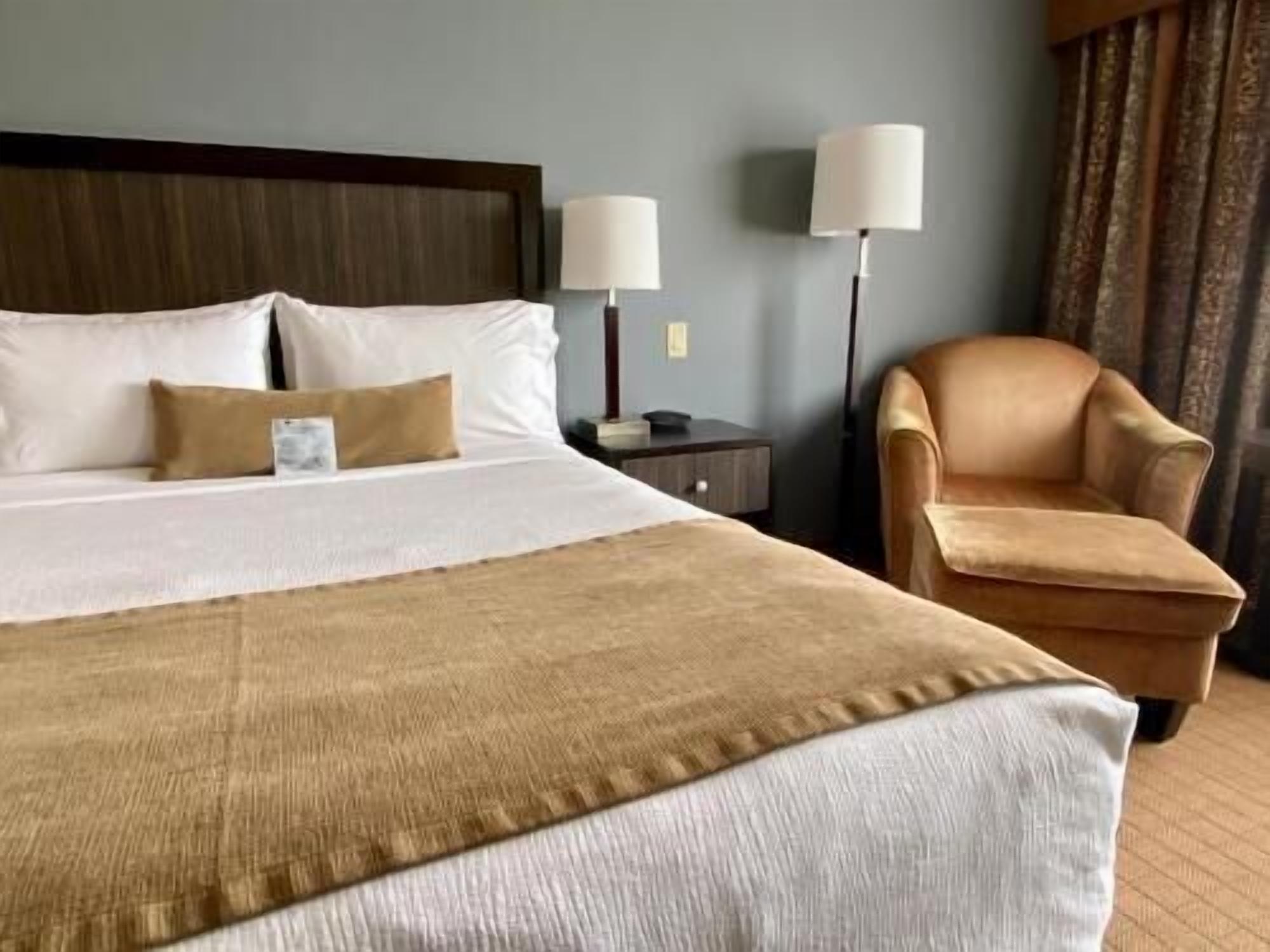 Premium bedding, pillow-top beds, in-room safe, blackout curtains