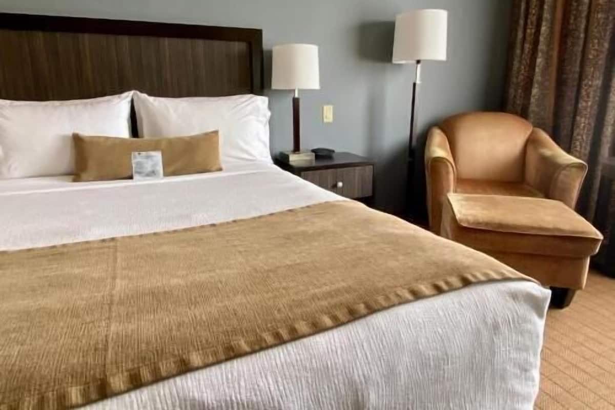 Premium bedding, pillowtop beds, in-room safe, blackout drapes