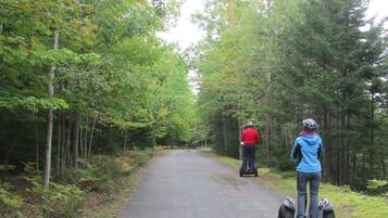 A paved path through a forest with two people riding segways.