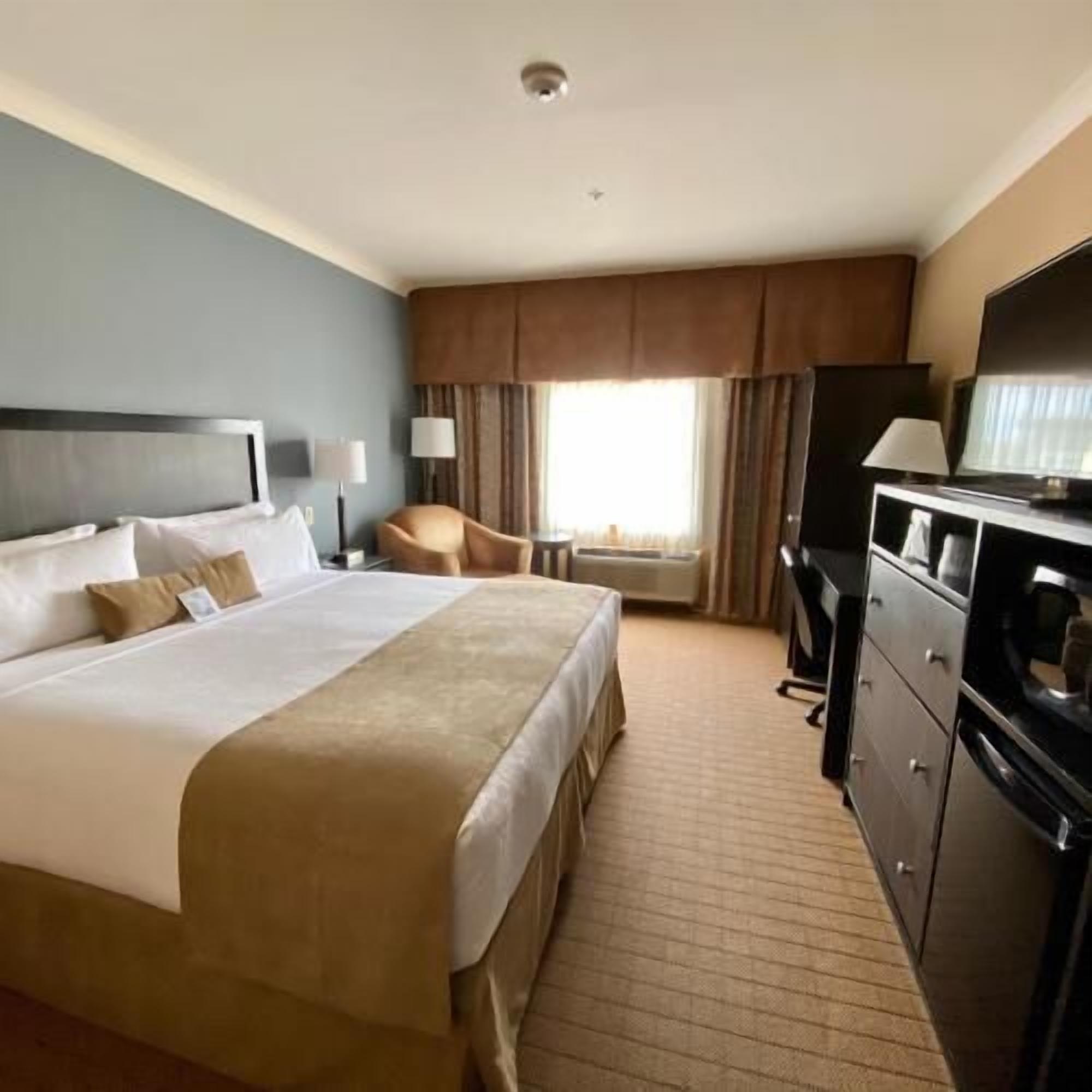 Premium bedding, pillow-top beds, in-room safe, blackout curtains