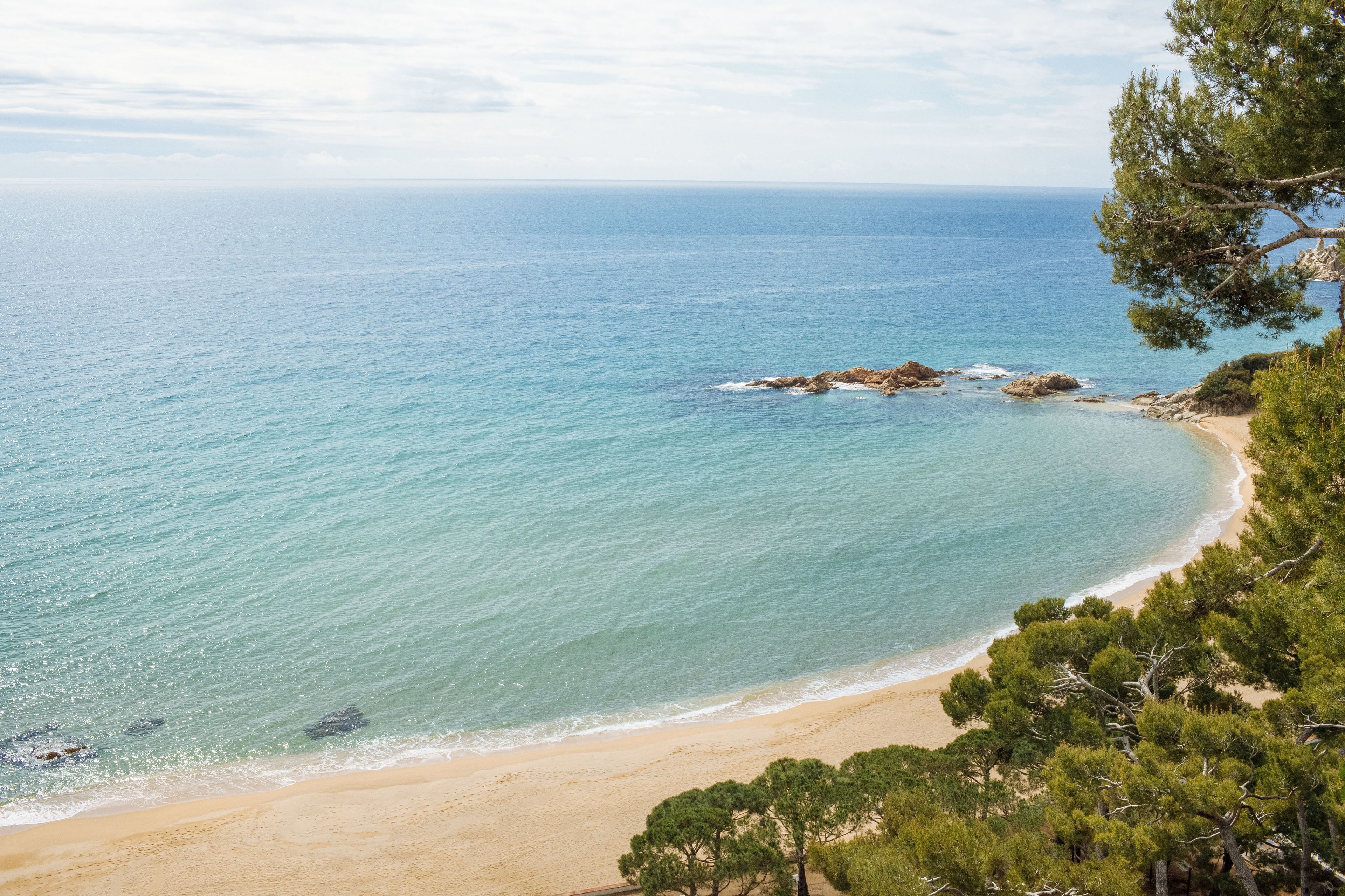 Un paysage côtier avec une plage de sable, une mer bleue et limpide, et une forêt dense de pins.