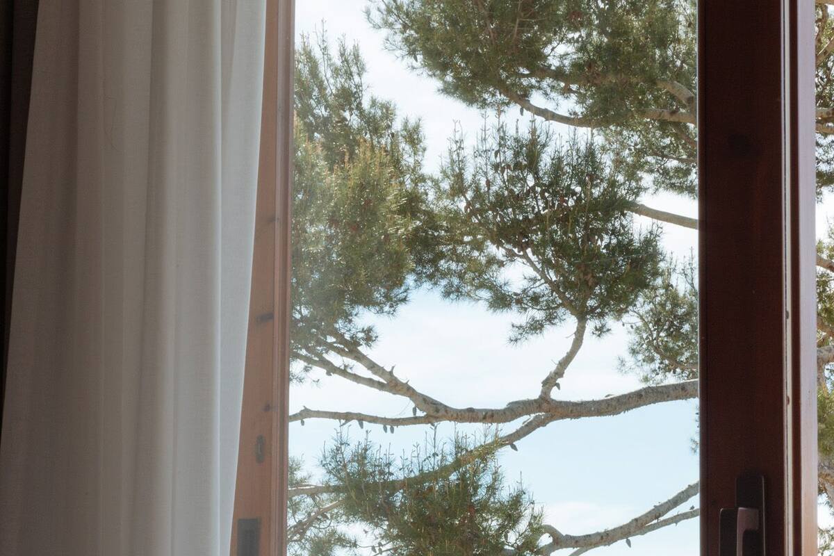 A bedroom with a view of a tree and the sea.
